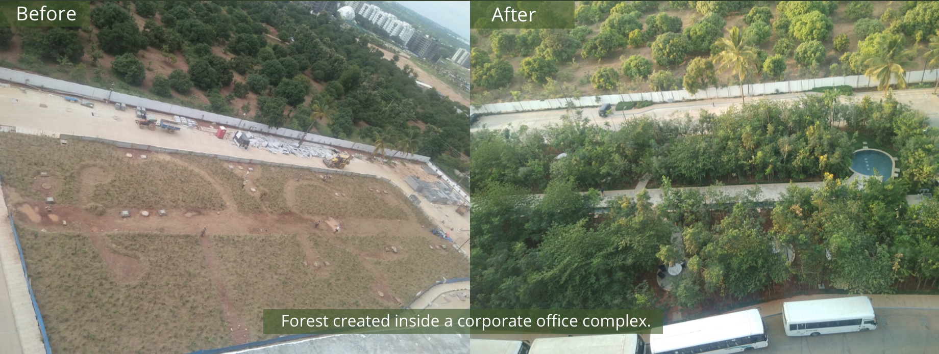 Mini-forêt MIYAWAKI Inde