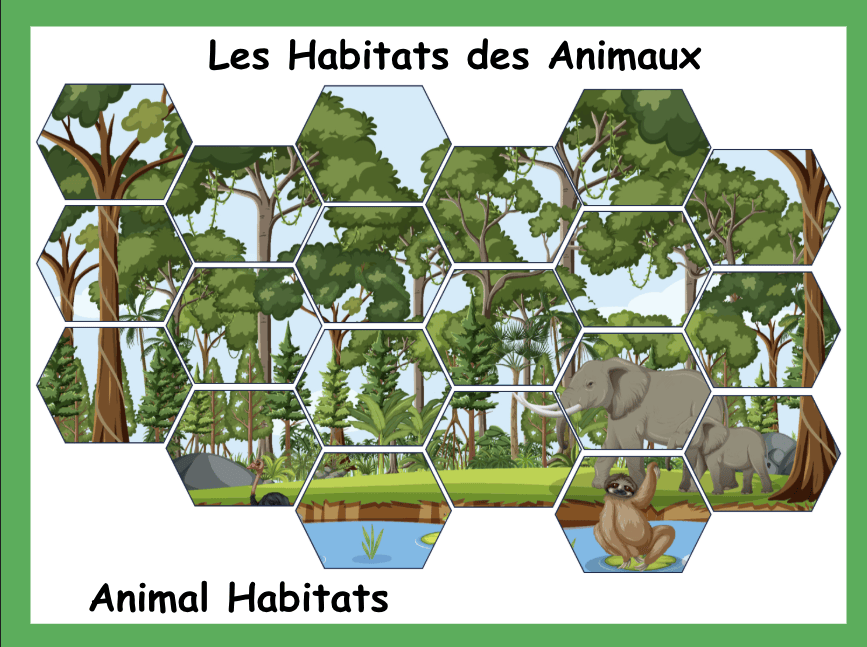 Gramacri Primary French lesson resource showing forest habitats, wildlife and natural environments for learning animal and habitat vocabulary in French.