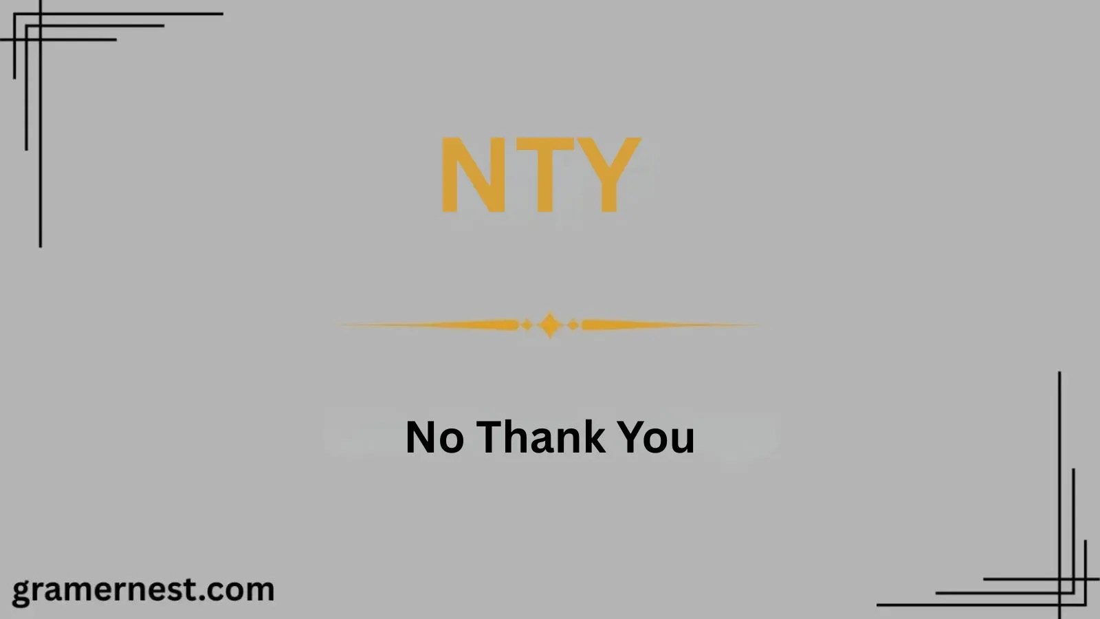 What Does NTY Mean In Text Meaning And Example For Everyone 2026 Nty Mean In Text.webp