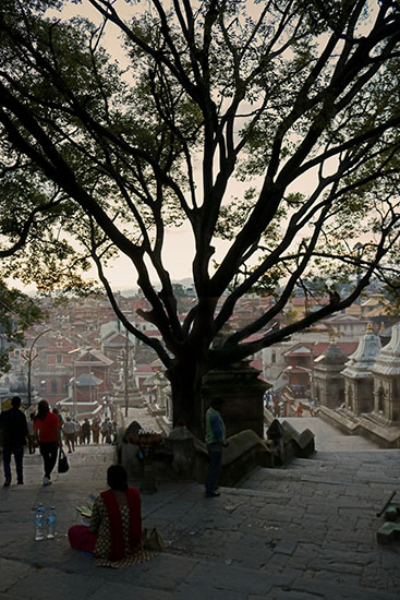 pashupatinath 6 Pashupatinath Patrimonio de la Humanidad