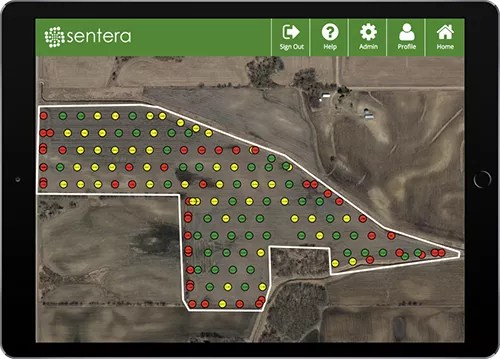 Plant Count & Density