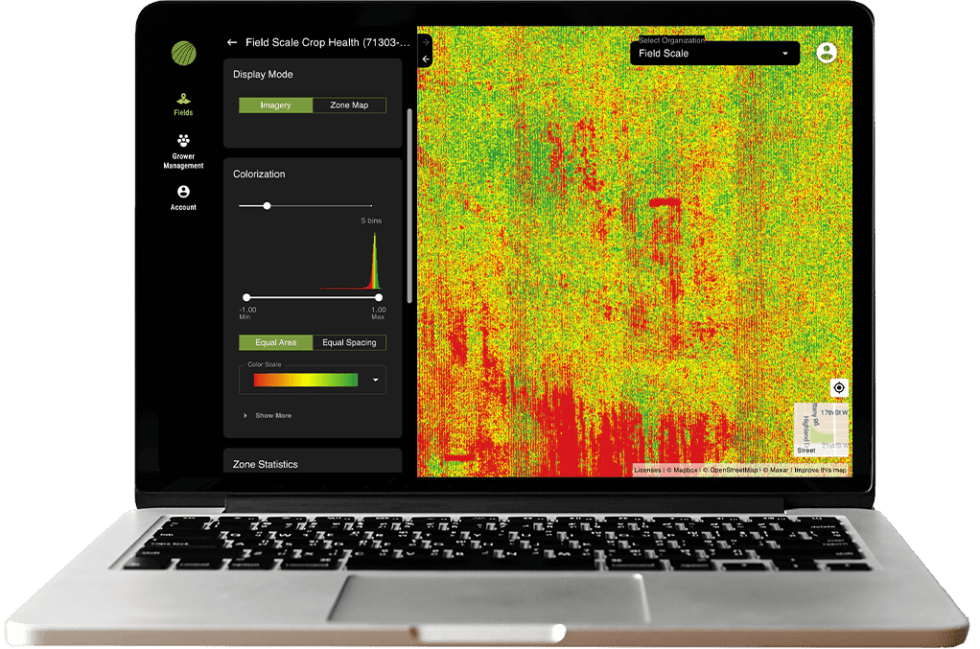 Data Analysis Insights
