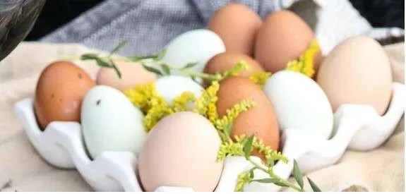 1 dozen farm fresh eggs
