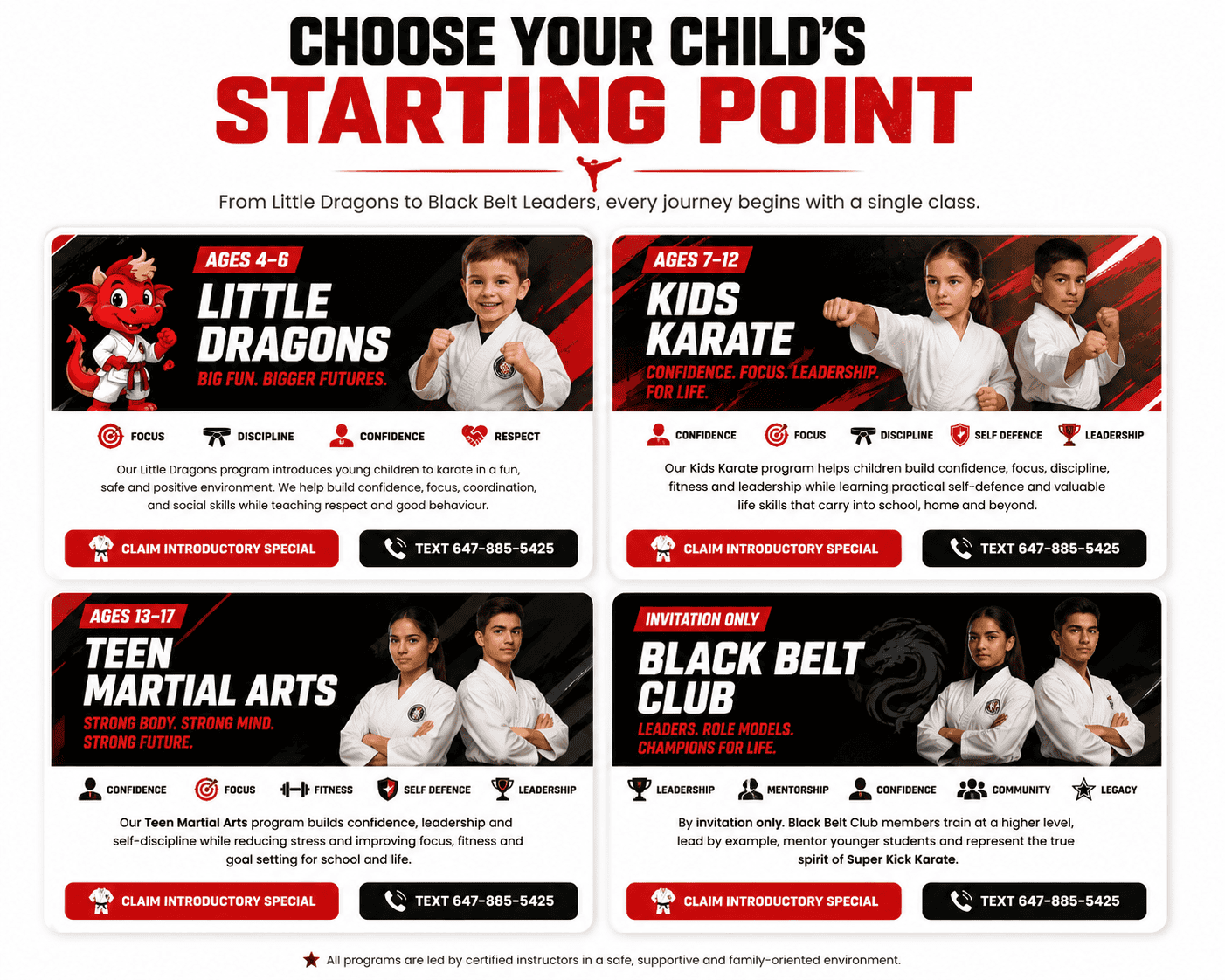 Four program cards for karate: Little Dragons (ages 4-6), Kids Karate (7-12), Teen Martial Arts (13-17), and Black Belt Club with contact CTAs.