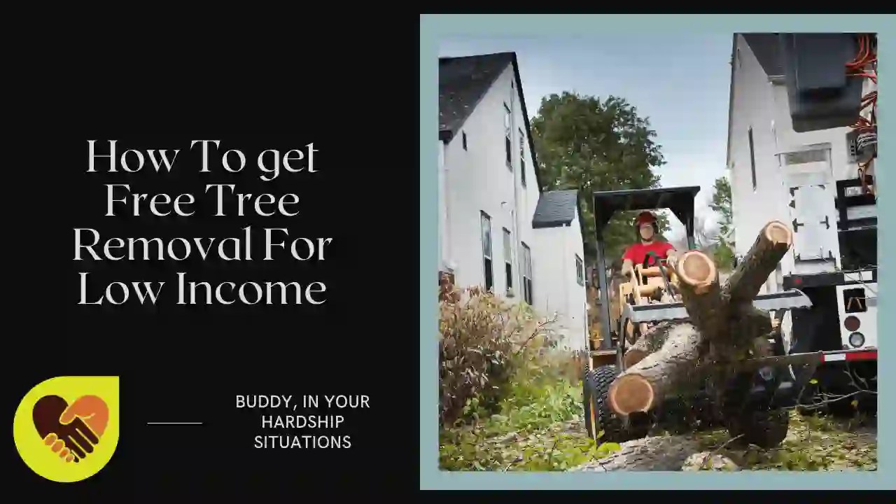 How do i get free tree removal for low income 2025