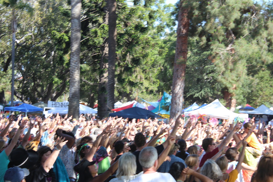 Festival crowd with hands raised