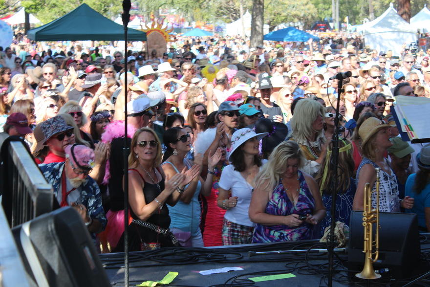 Dense crowd in front of the stage