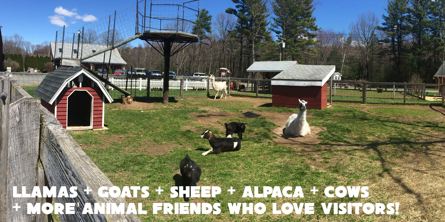 Gran-Val Animals