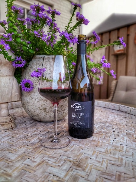 Today’s Special Appassimento 2019