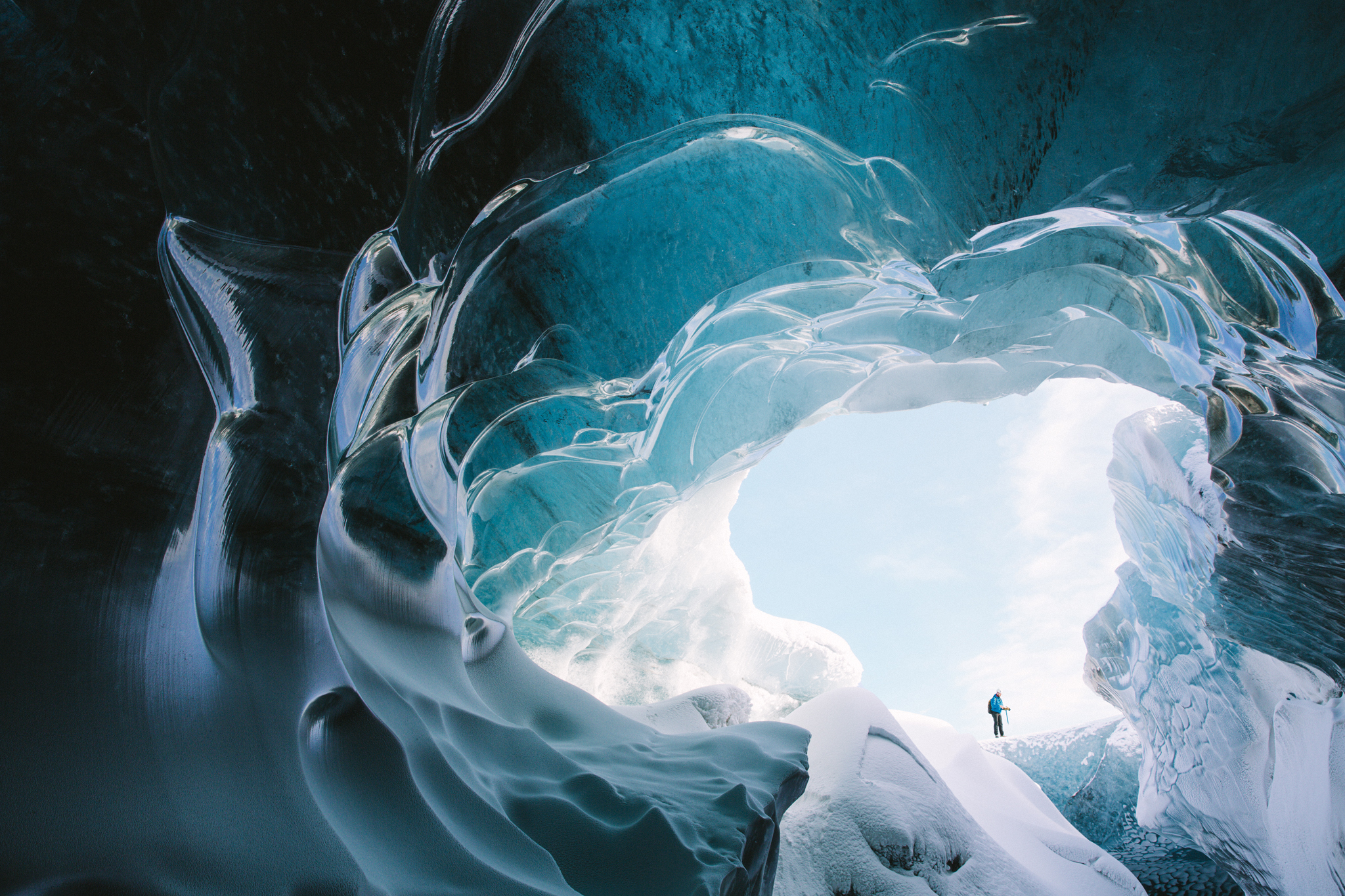Organic ice forms