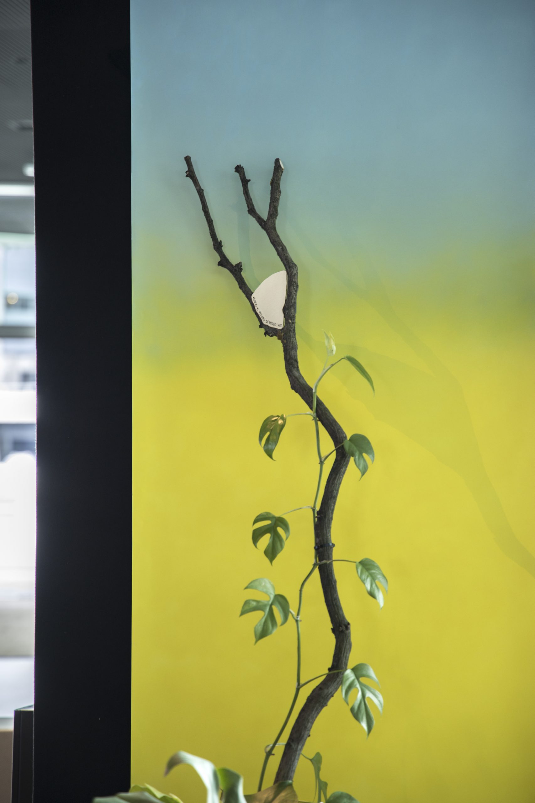From Harpa - 'KUNDO YI YEVU WODE MEGBƆ HƐƐ' by Hugo Llanes as part of Vestur í bláinn.