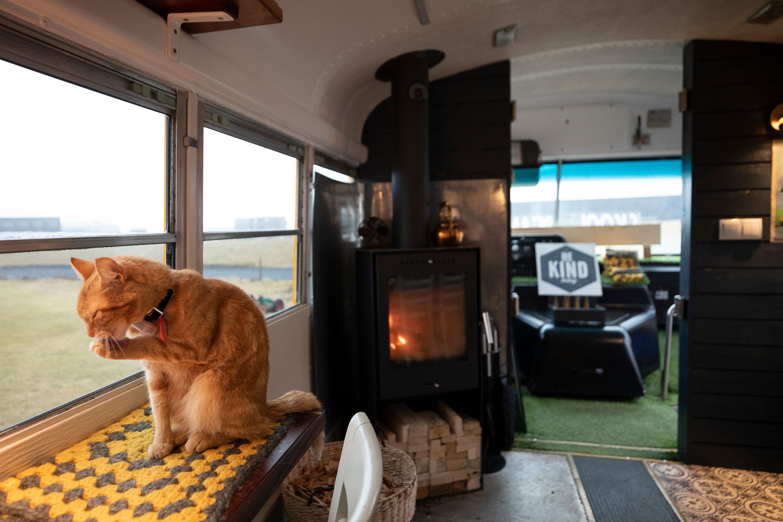 FYI, the cat is called Jeffarious Edwardious The First