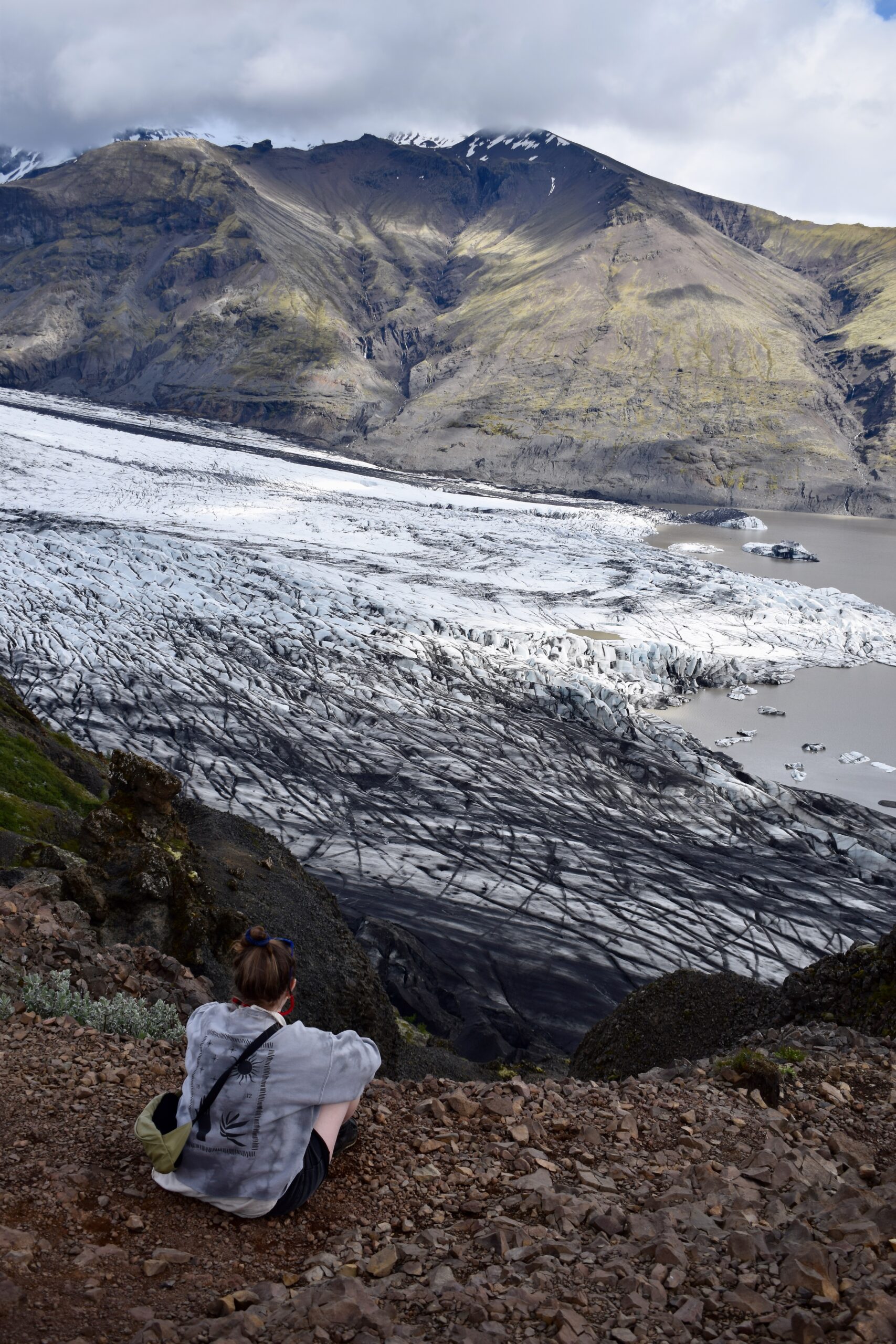 Skaftfell by John Rogers