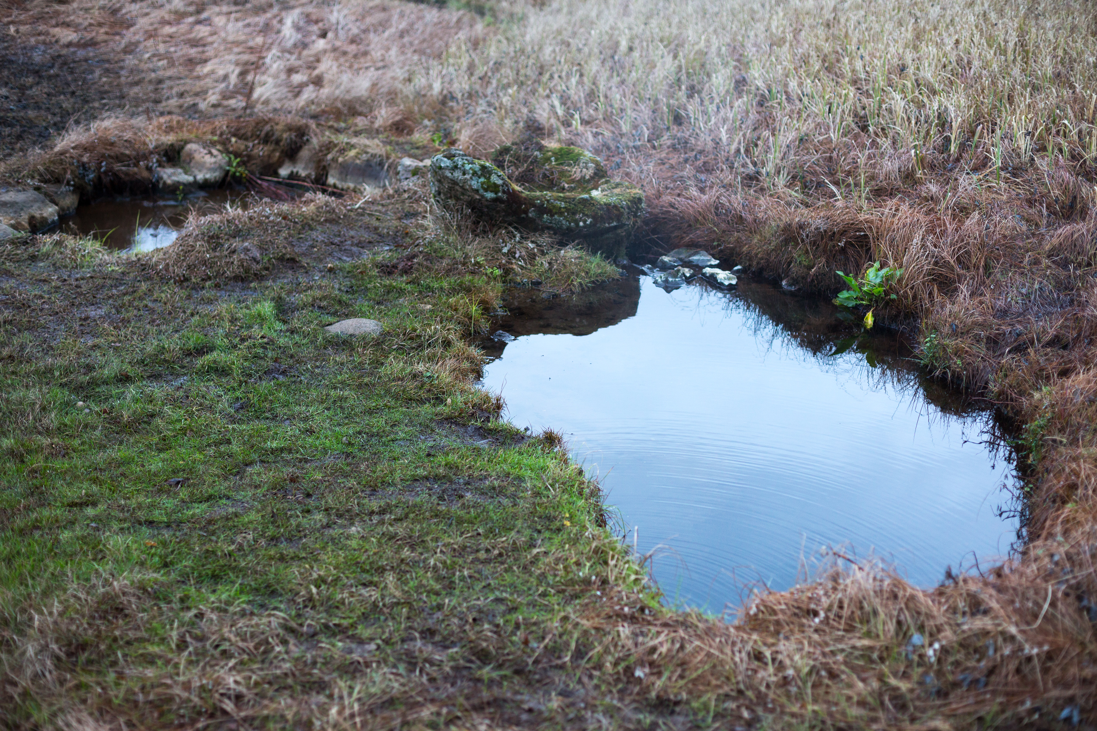 Kualaug_Art_Biknick_1