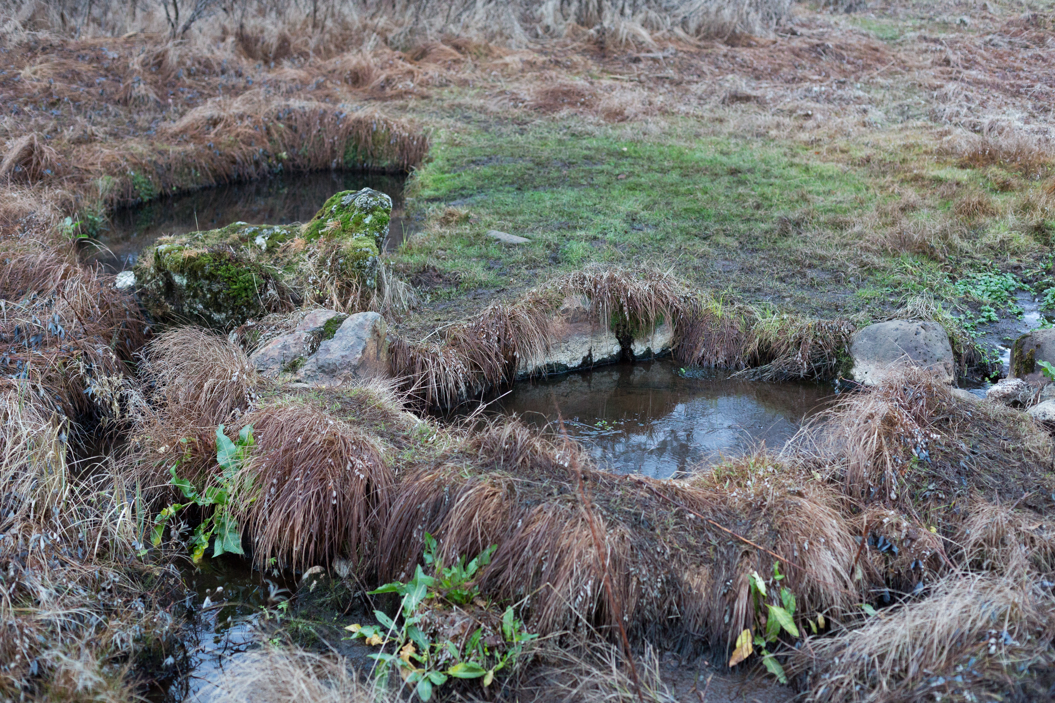 Kualaug_Art_Biknick_2