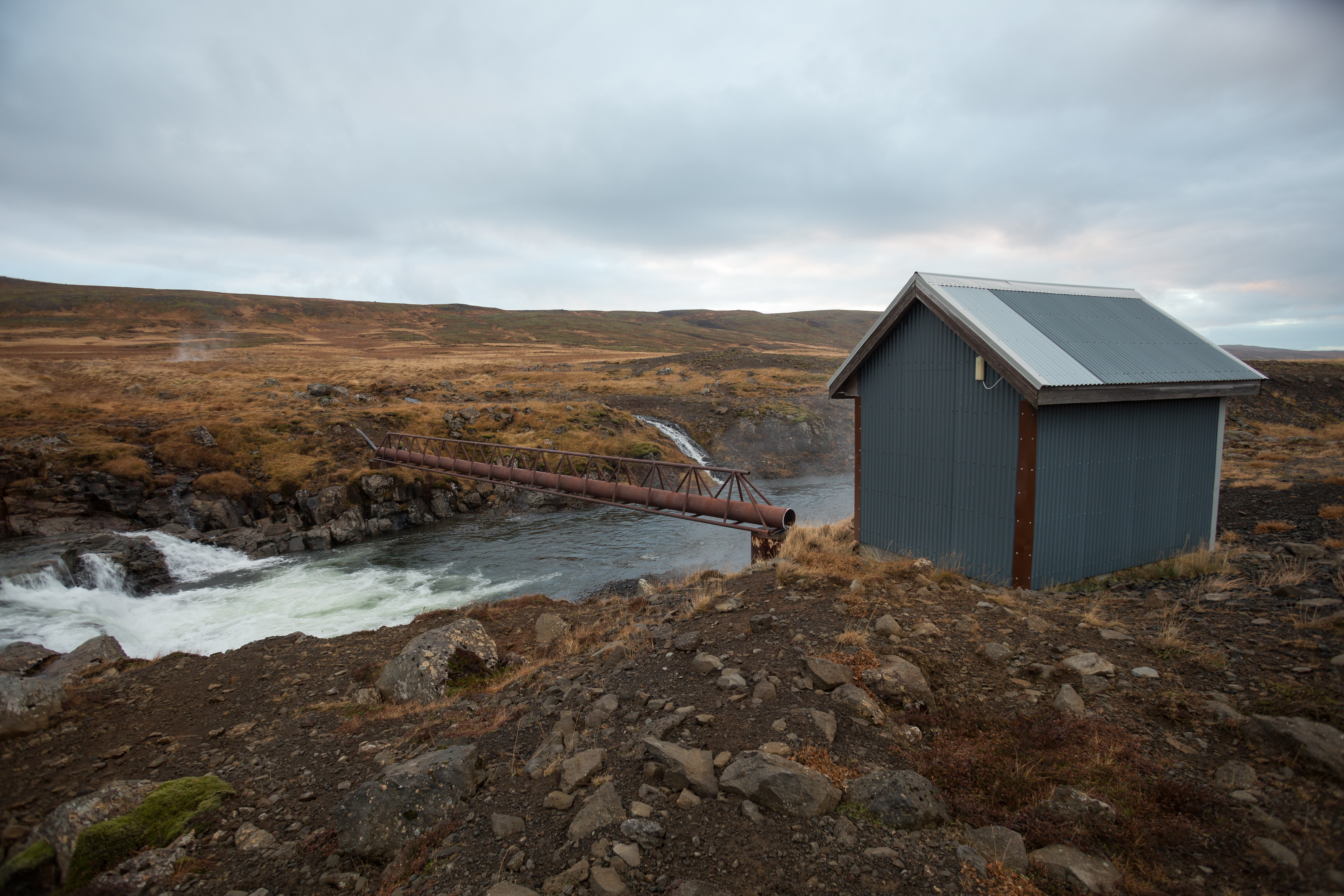 Englandshverir_Art_Biknick_3