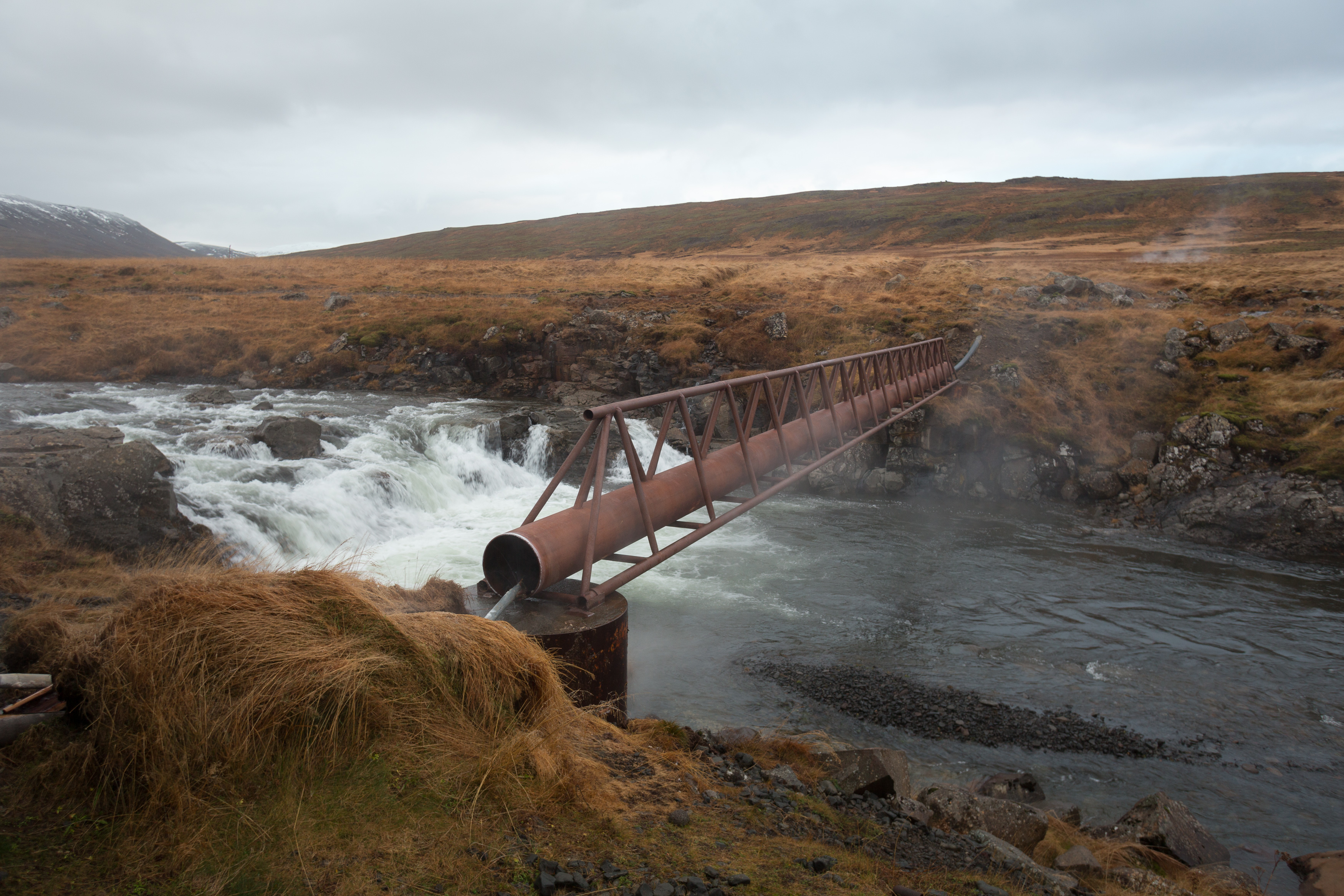 Englandshverir_Art_Biknick_4