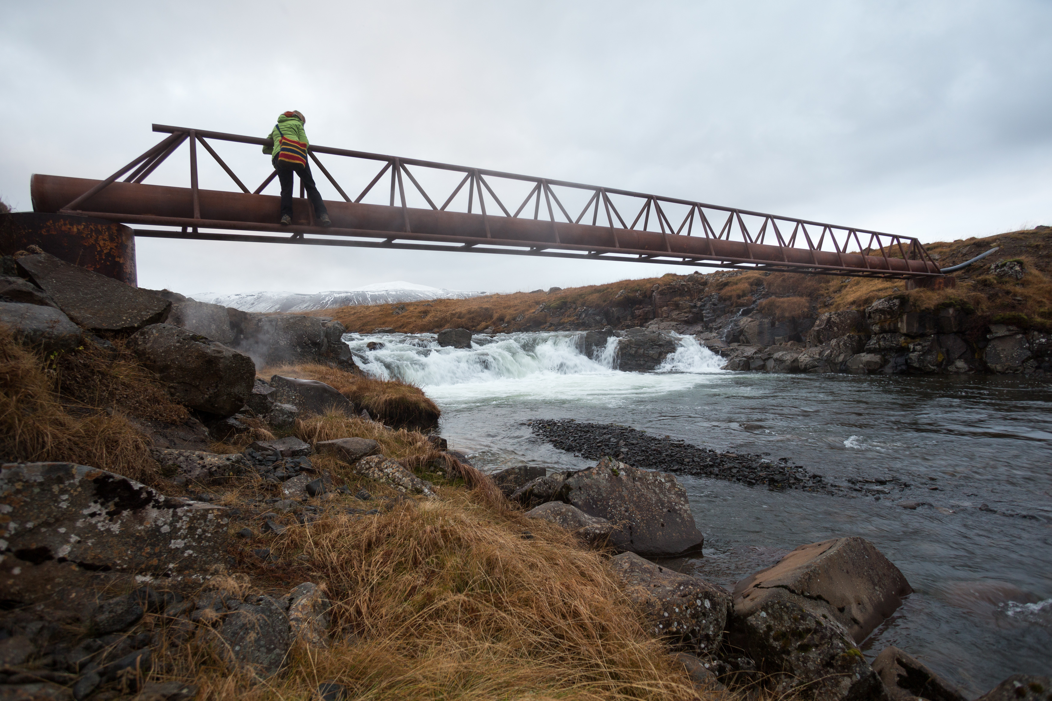 Englandshverir_Art_Biknick_5