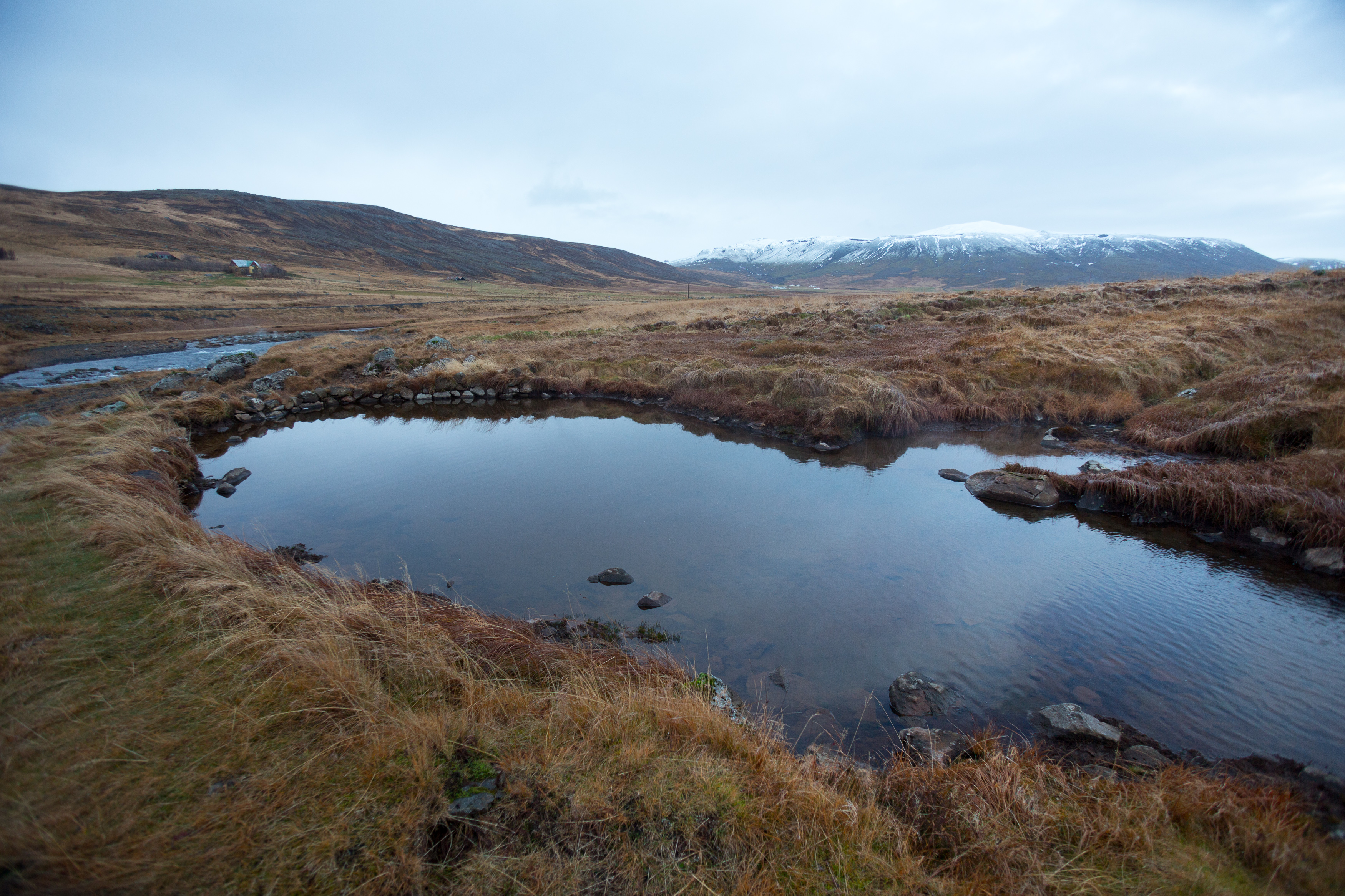 Englandshverir_Art_Biknick_6