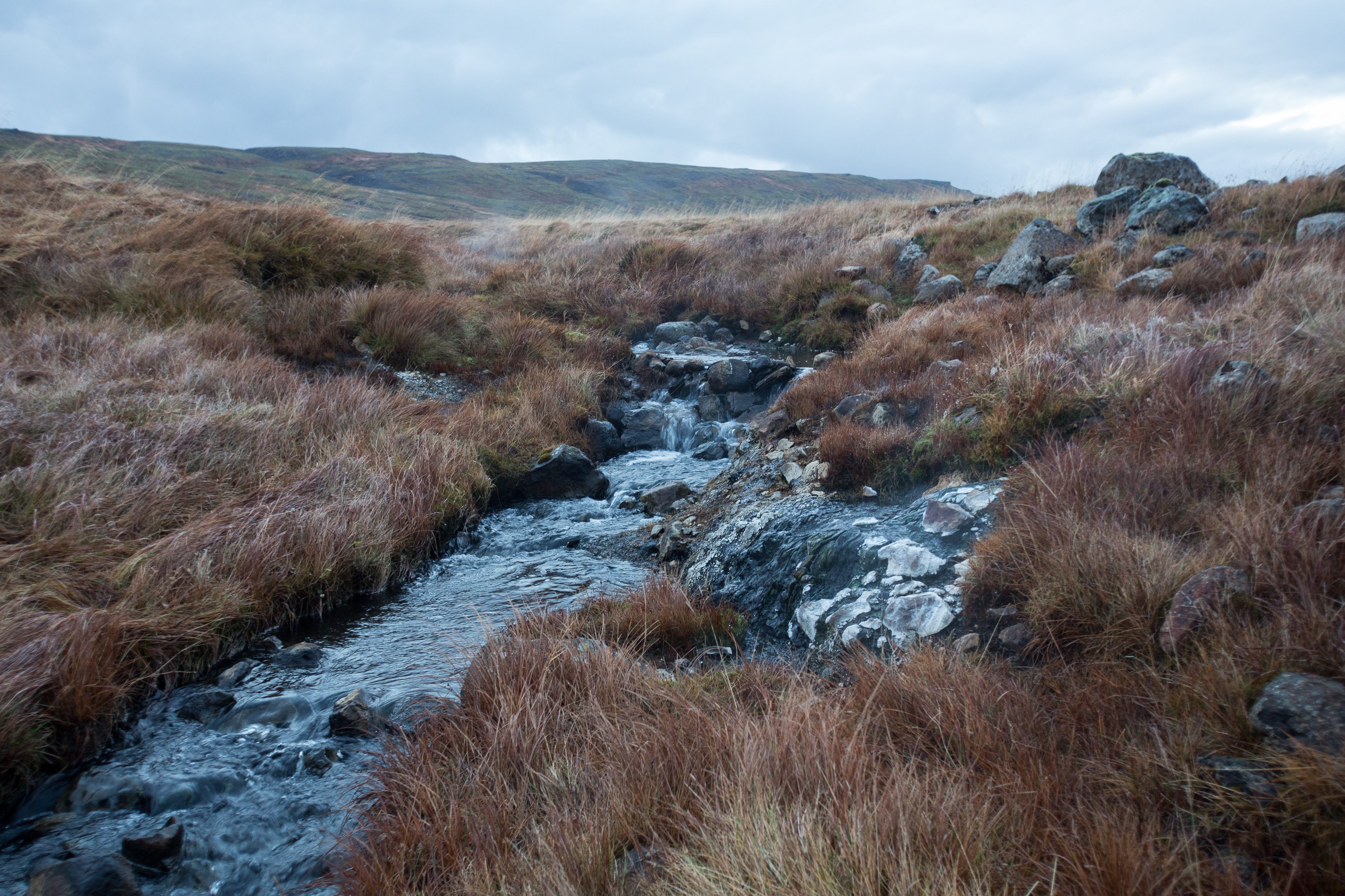 Englandshverir_Art_Biknick_7