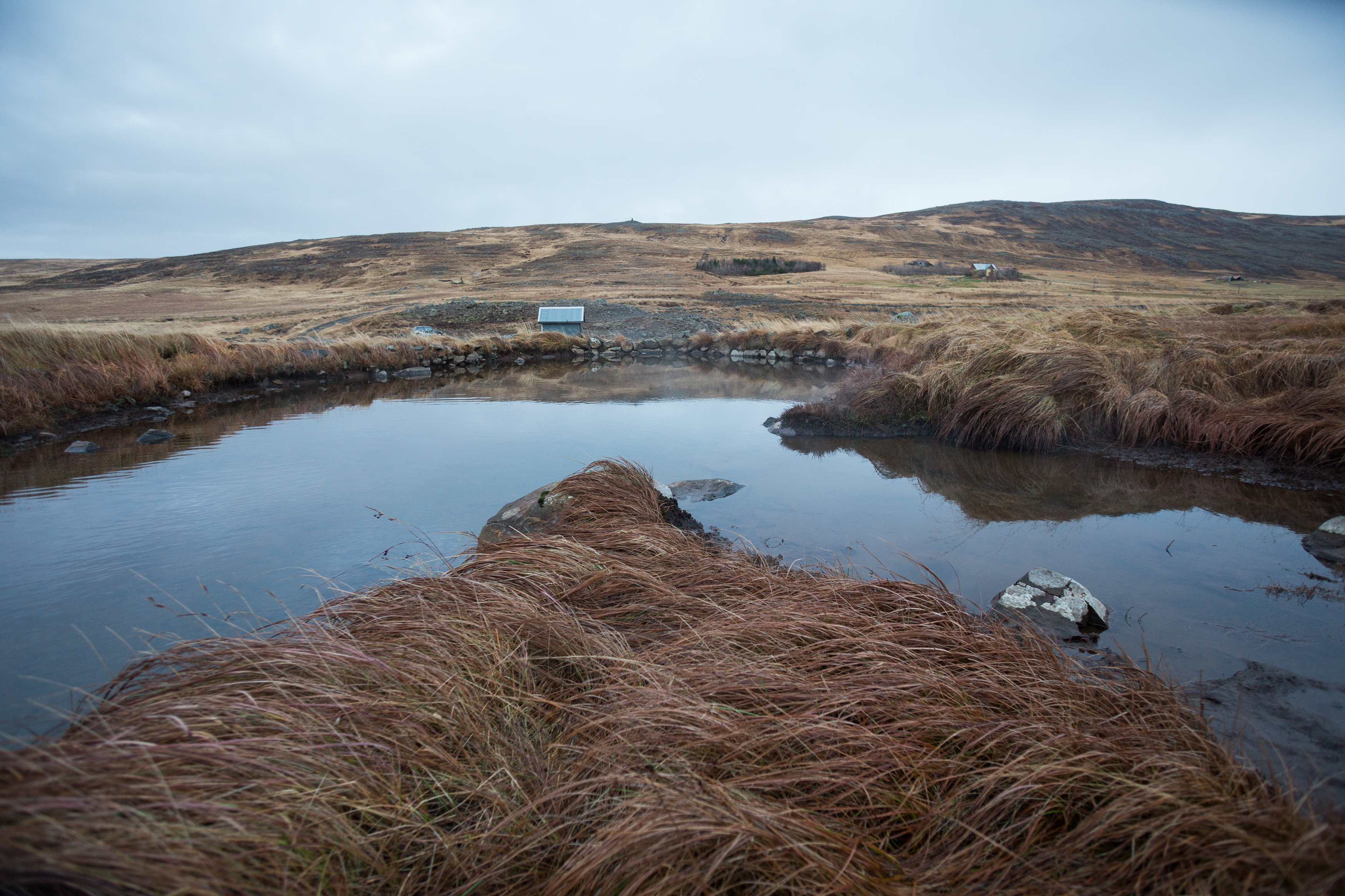 Englandshverir_Art_Biknick_8