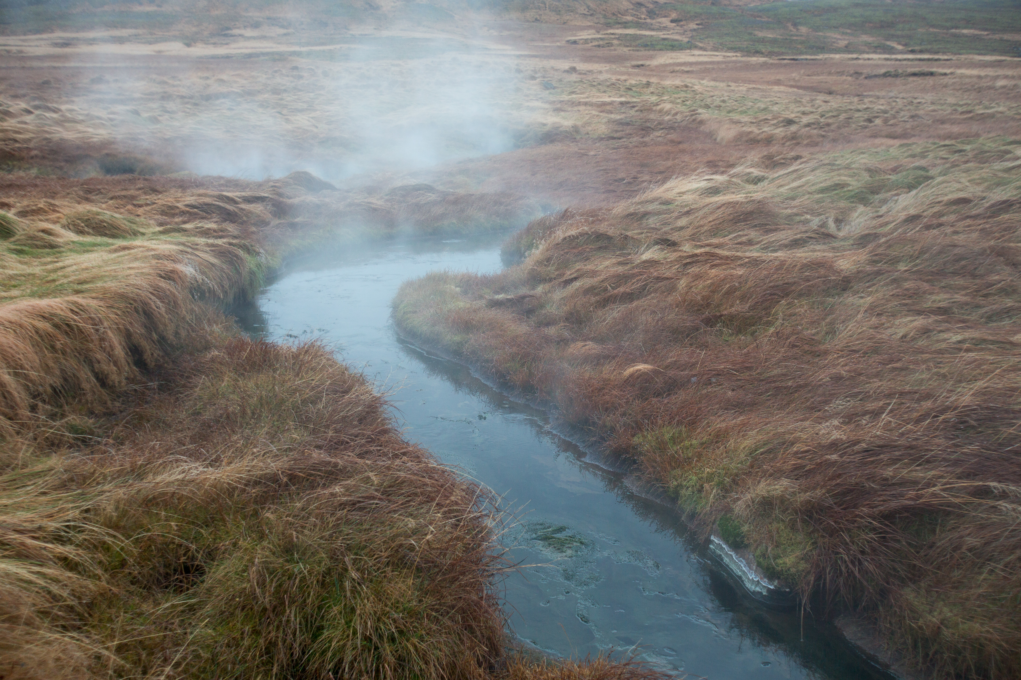 Englandshverir_Art_Biknick_9