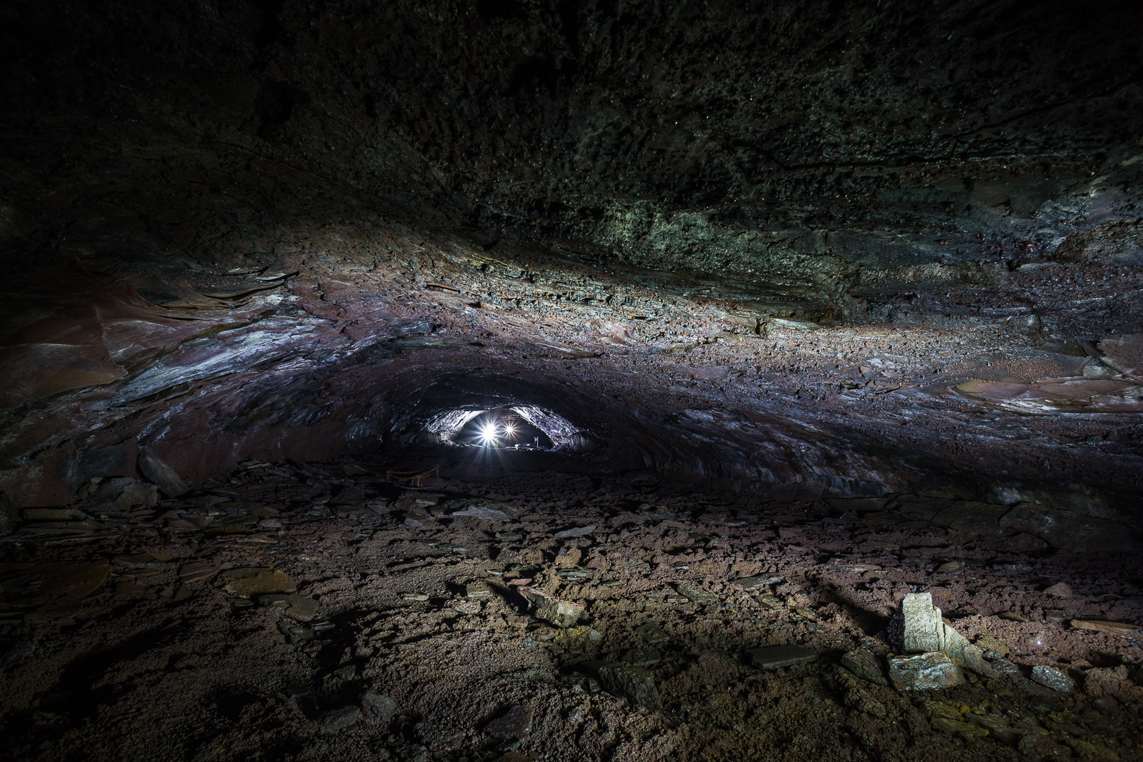 Art Bicnick Leiðarendi