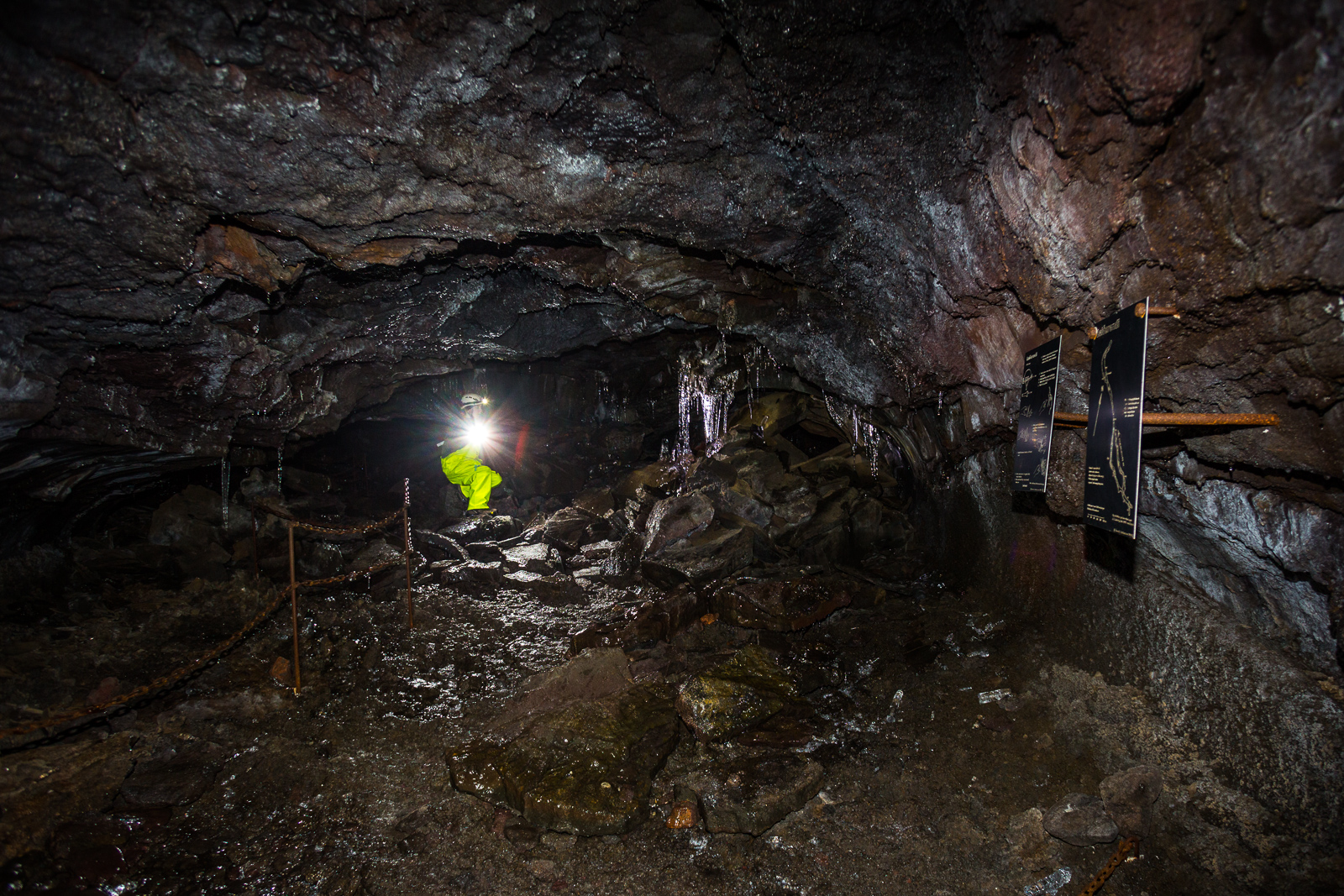 Art Bicnick Leiðarendi