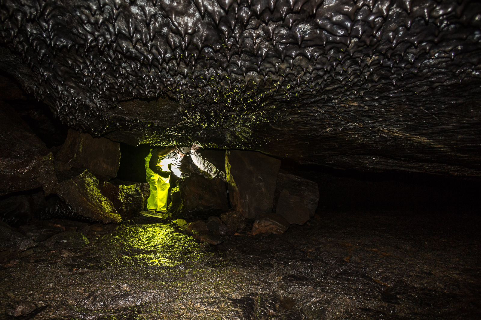 Art Bicnick Leiðarendi