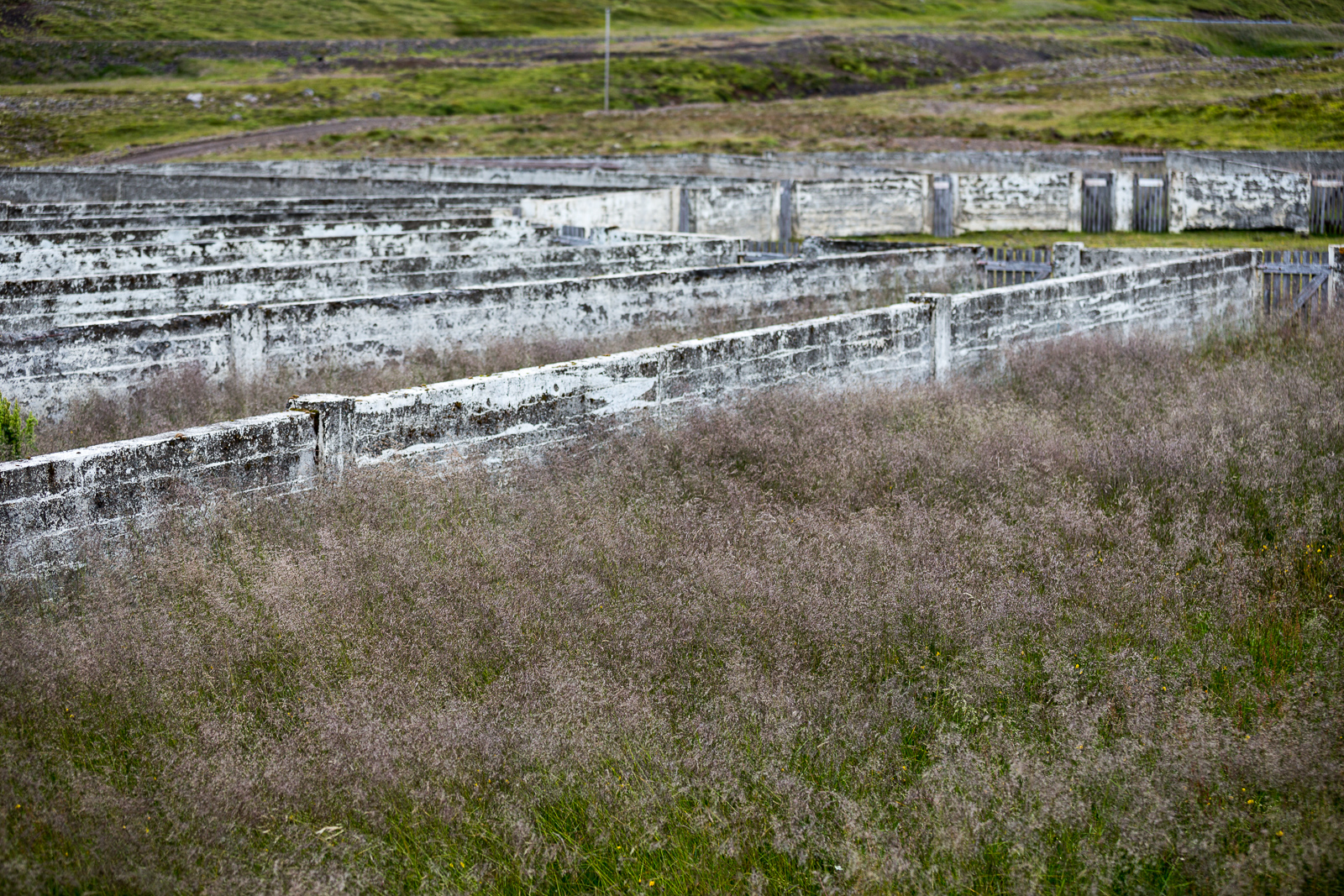 Haukadalsskarð. Photo by Art Bicnick.