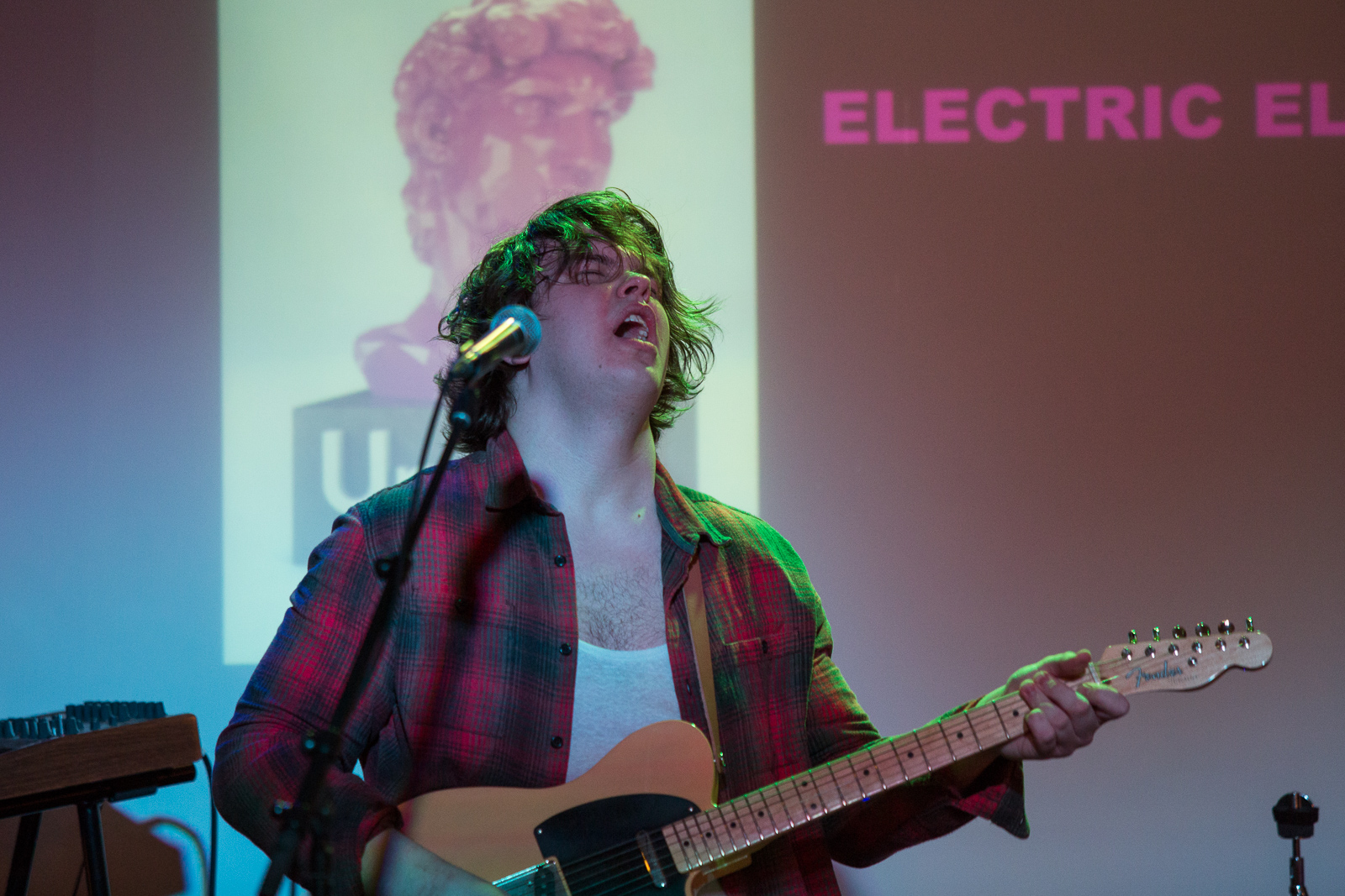 Electric Elephant at Hitt Húsið