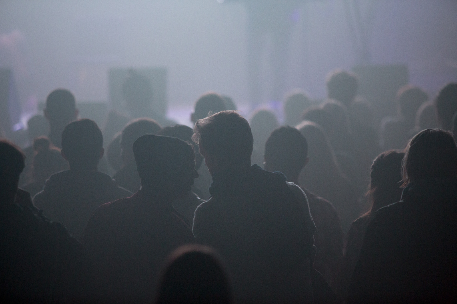 Good Moon Deer at Harpa
