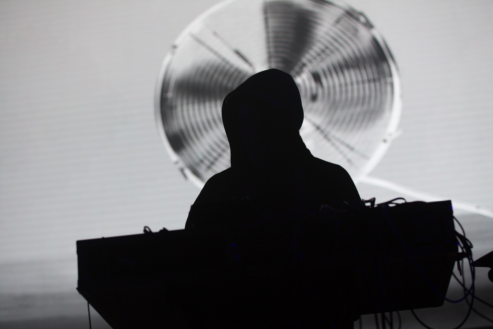 Good Moon Deer at Harpa