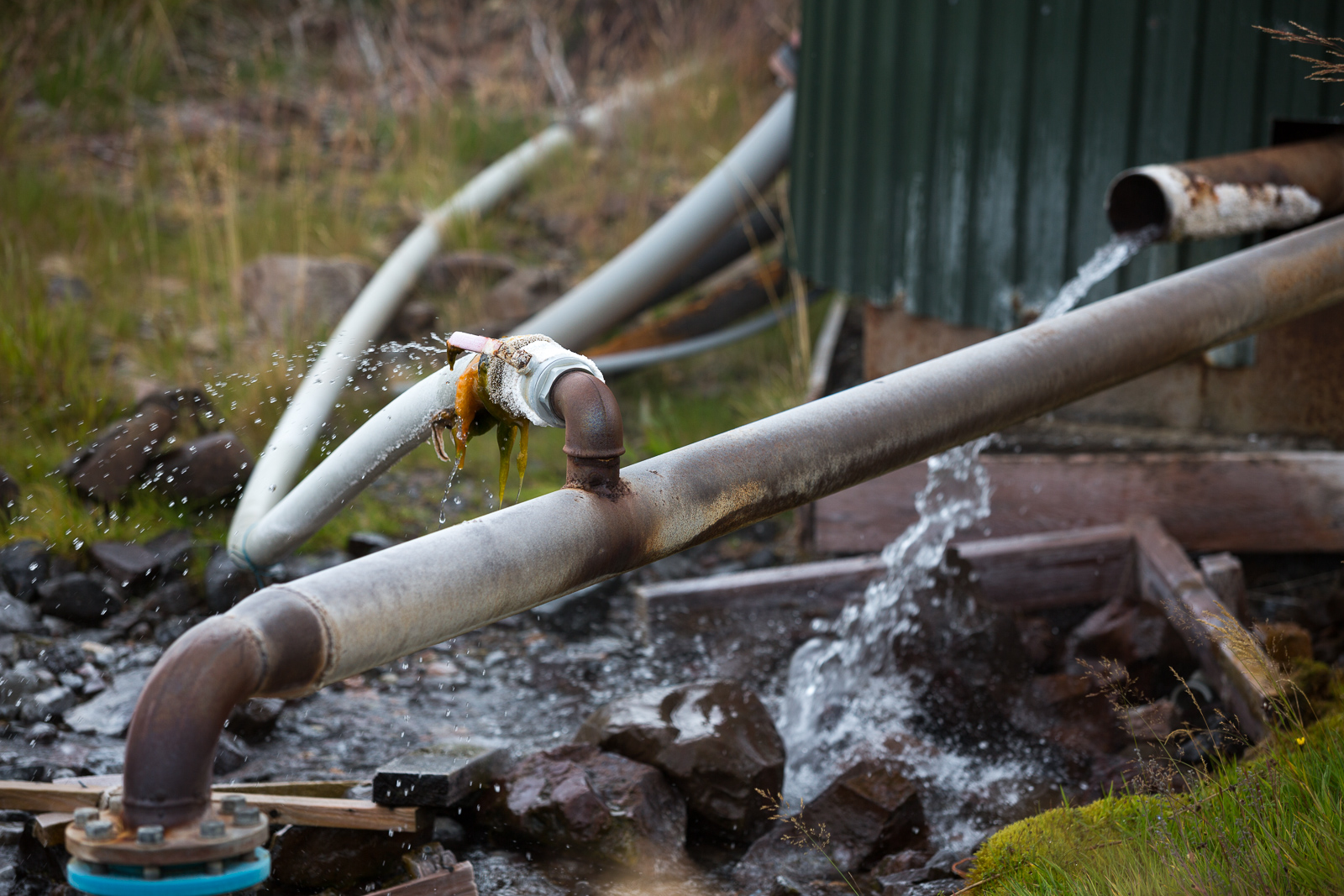 Laugar. Photo by Art Bicnick.