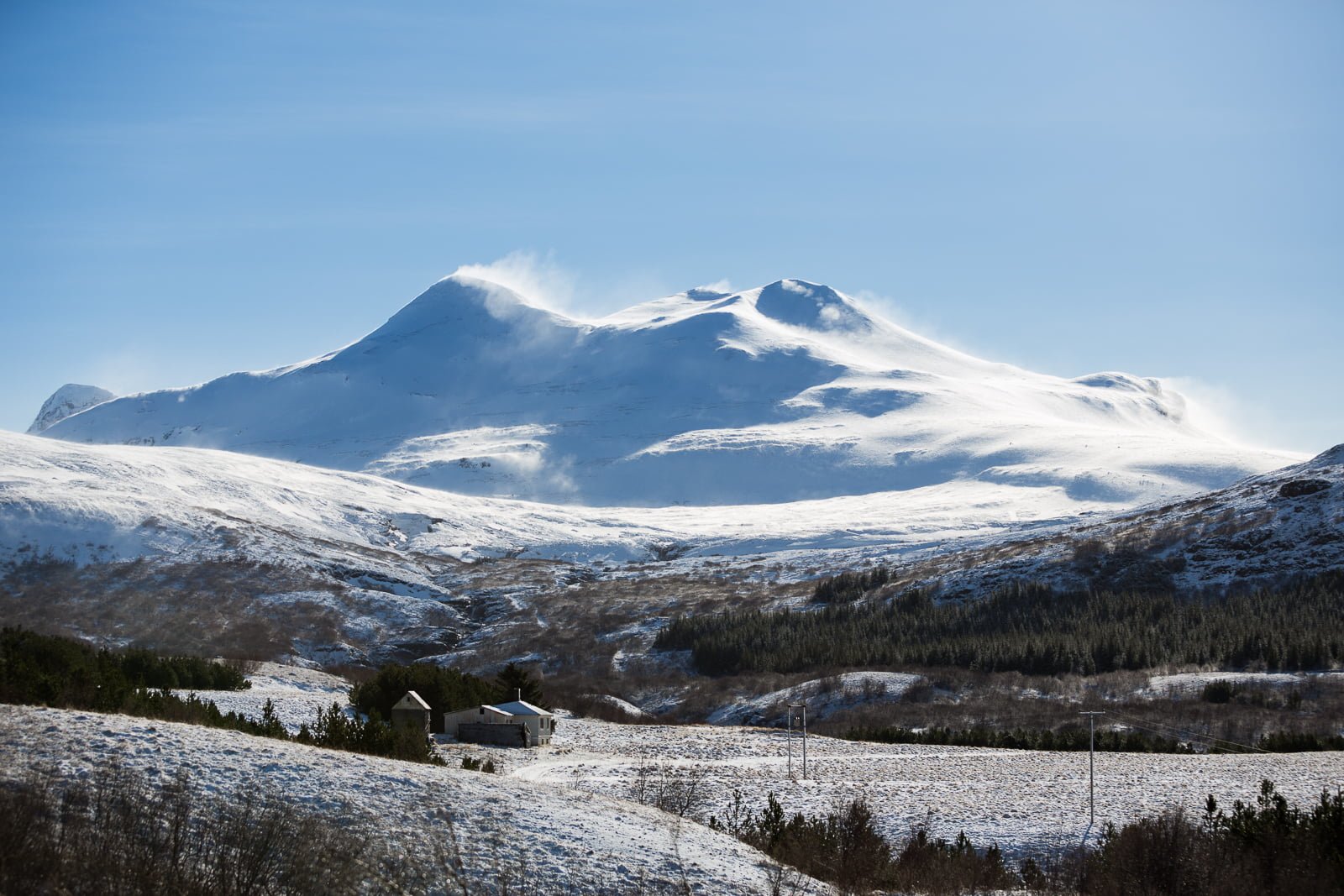 Who wouldn't live here