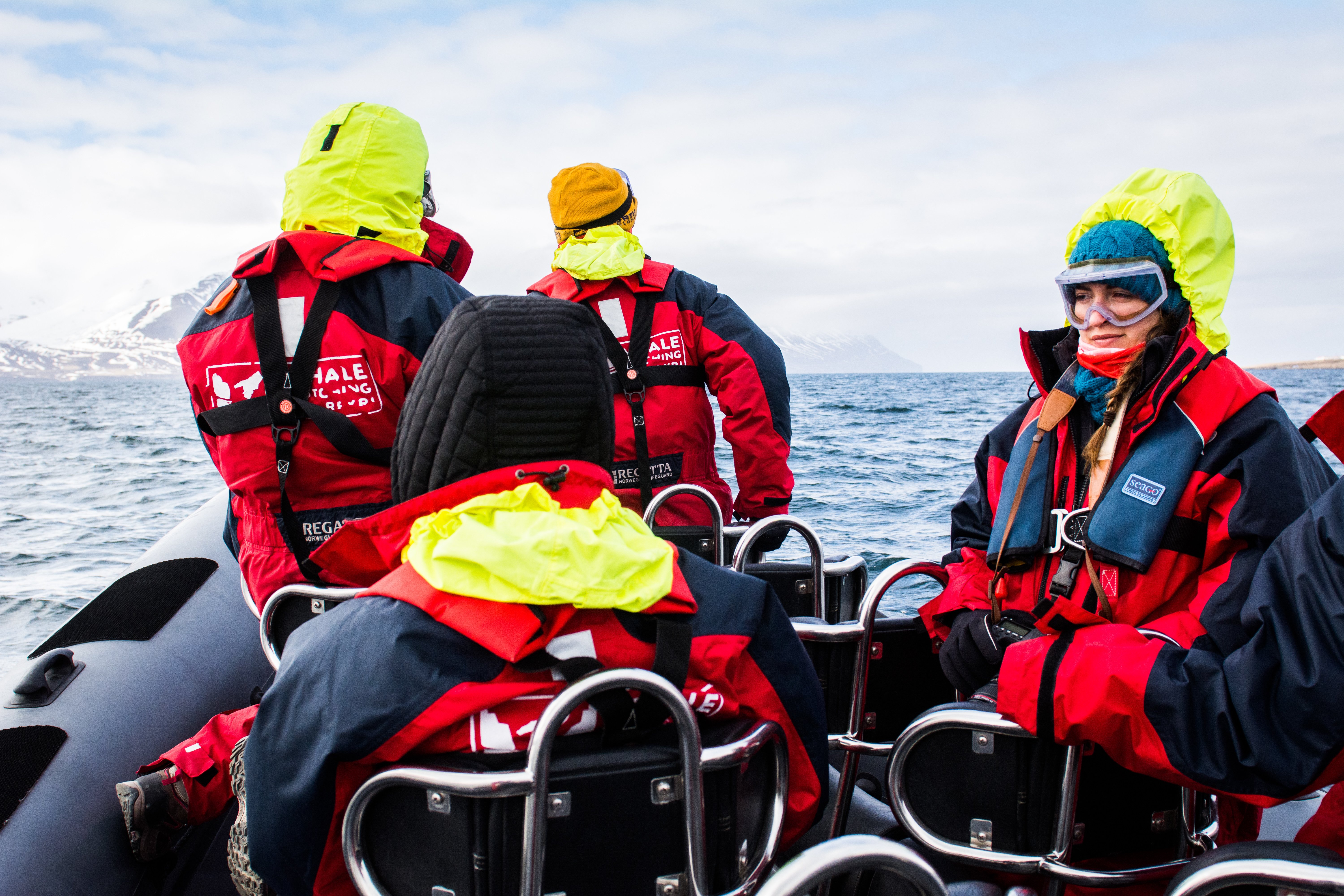 Whale Watching by tomas hrivnak