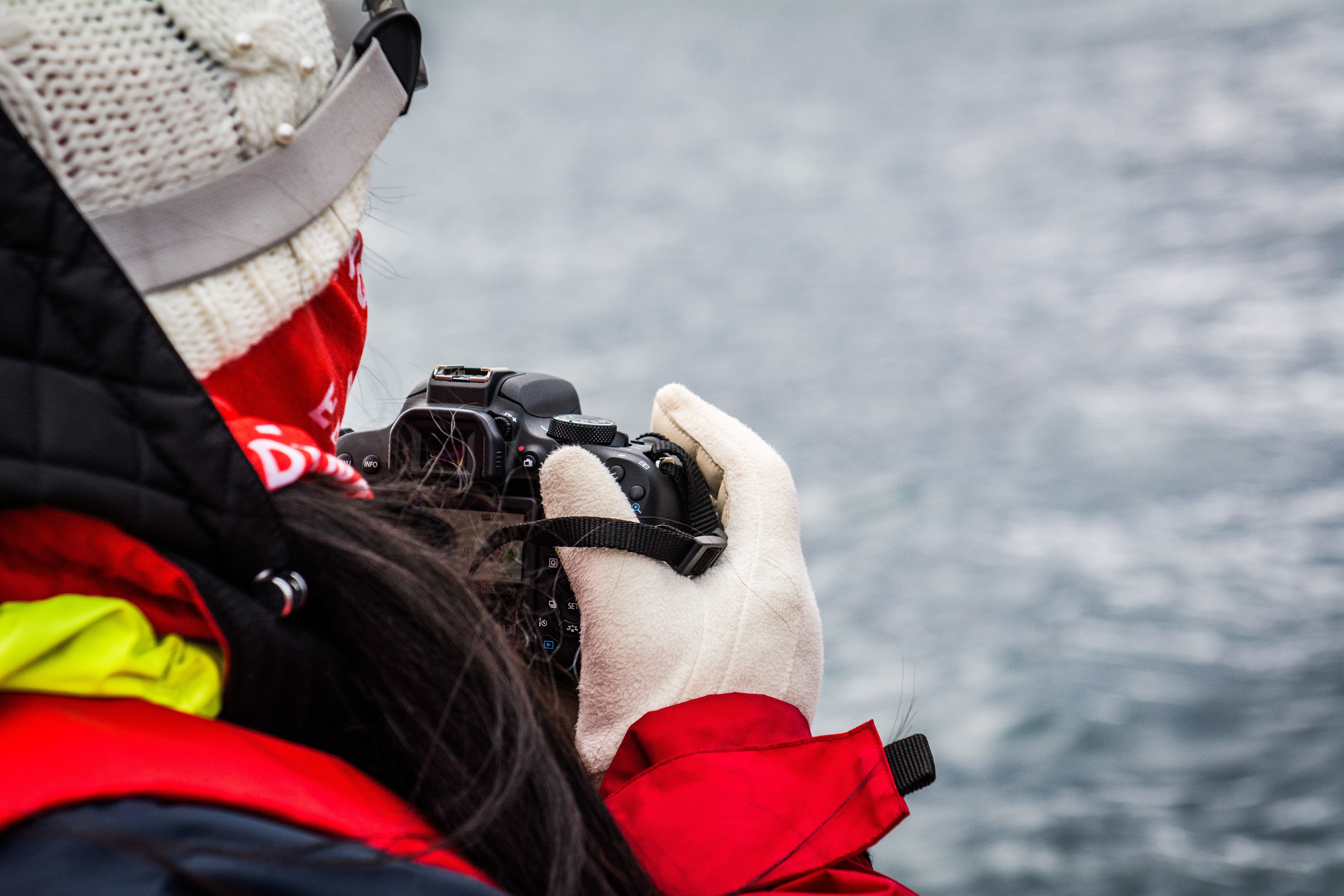 Whale Watching by tomas hrivnak