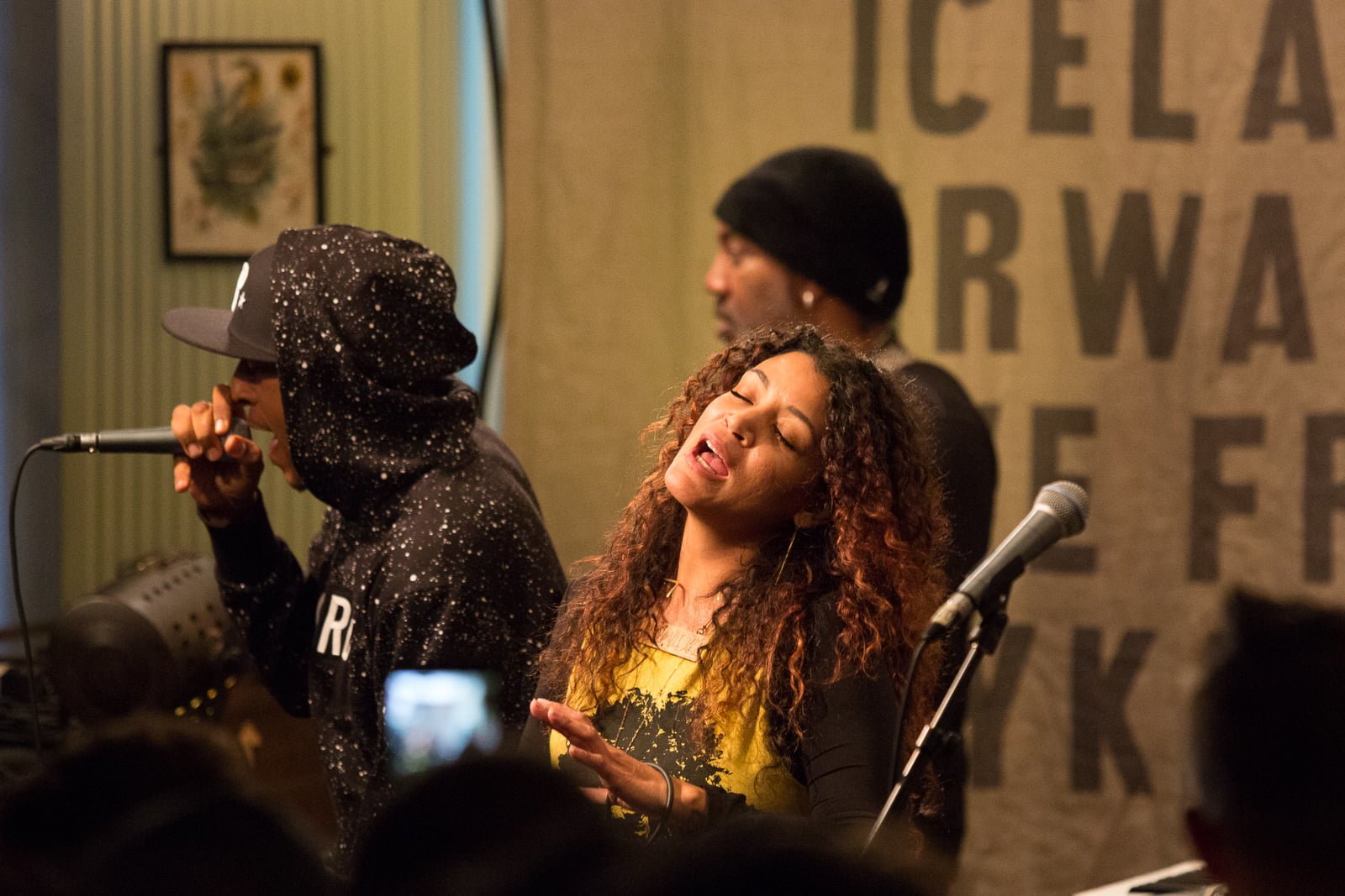 Digable Planets at KEX Hostel