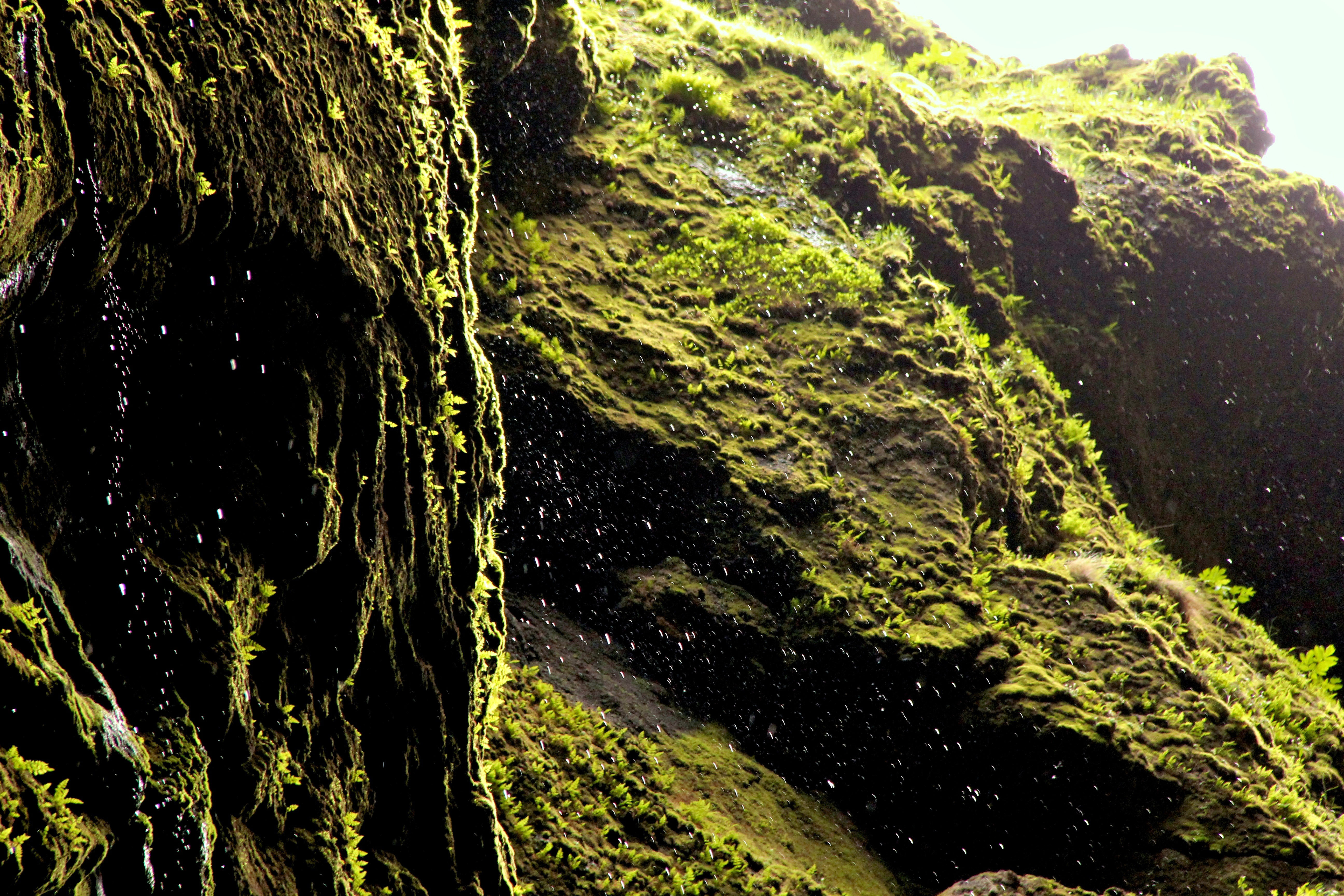 Gorge by Natsha Nandabhiwat