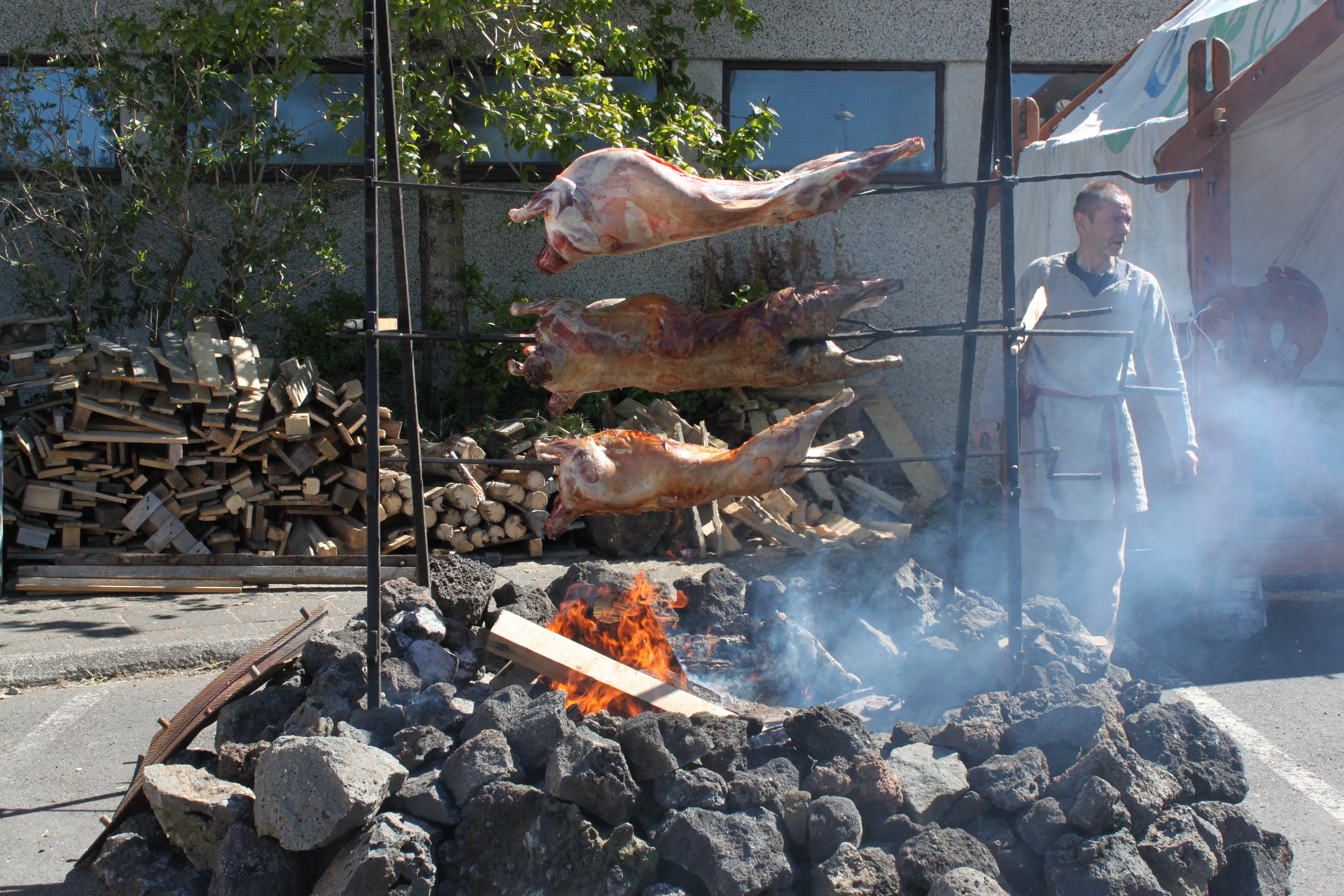 Hafnarfjörður Viking Festival 2015 by Anna Manning