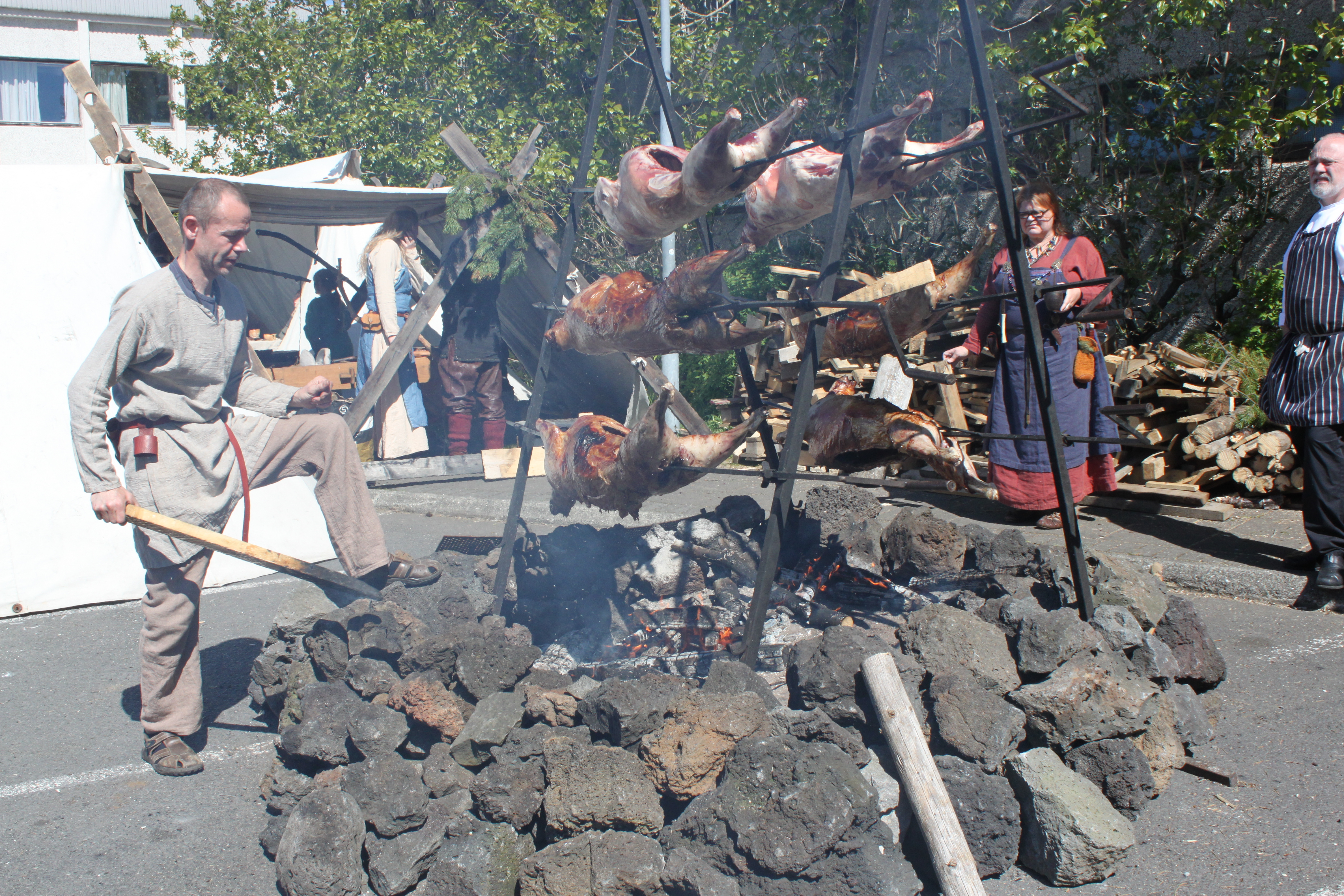 Hafnarfjörður Viking Festival 2015 by Anna Manning