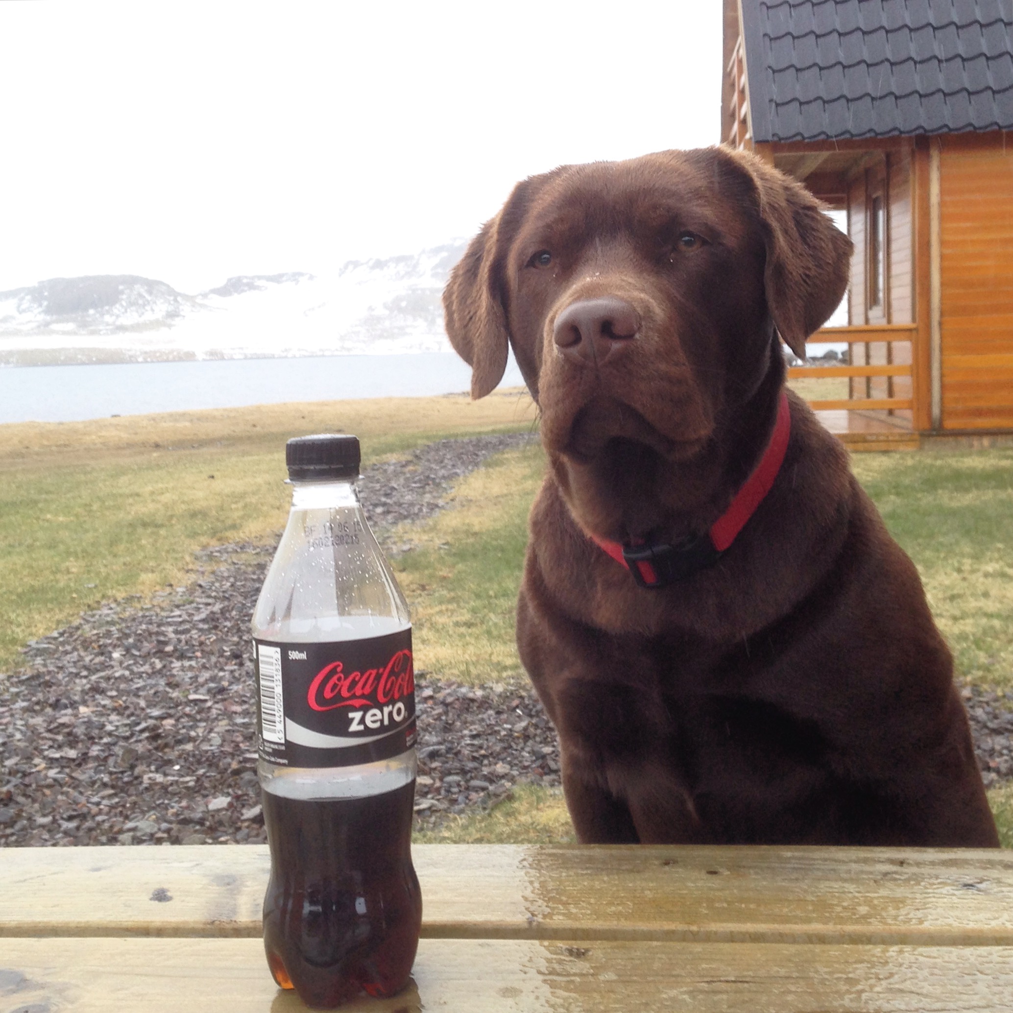 An Eskifjörður local
