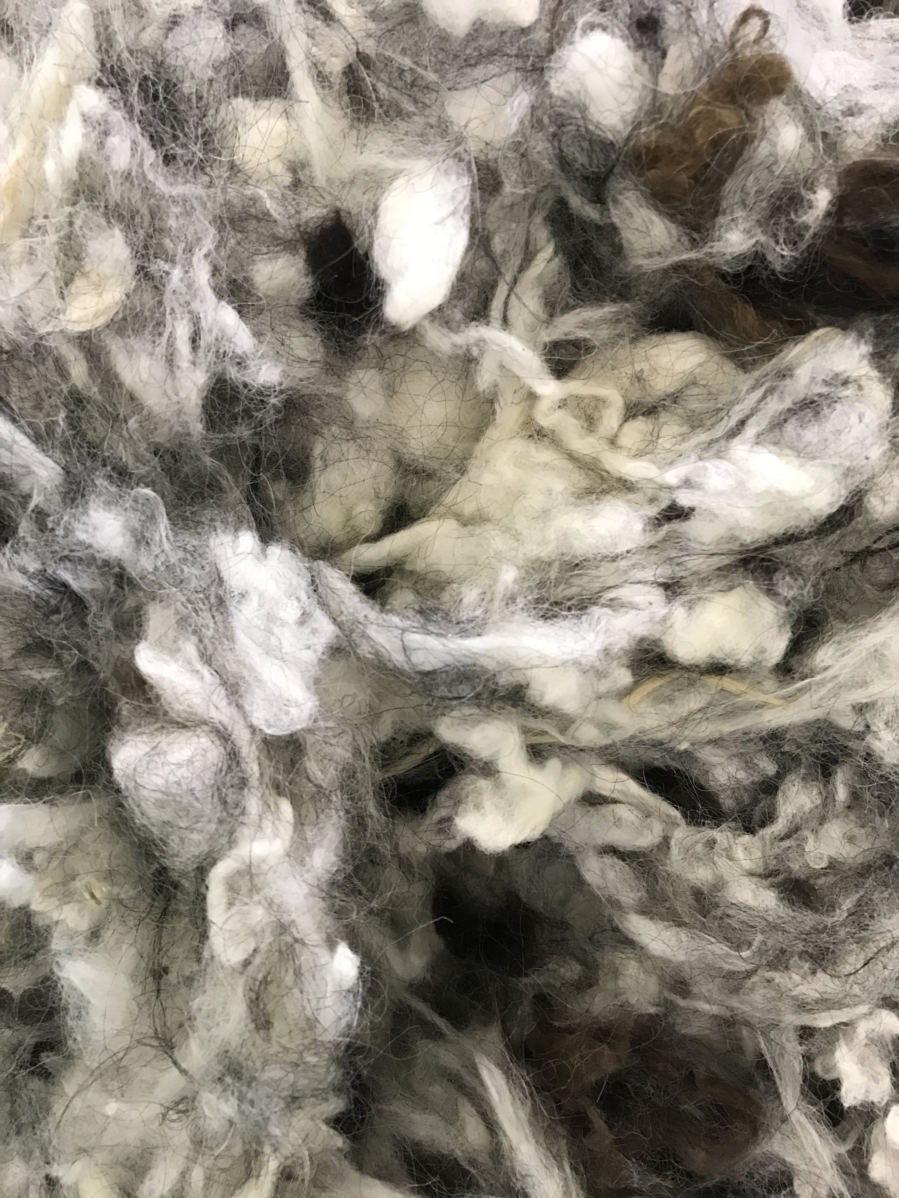 Ístex wool by John Rogers