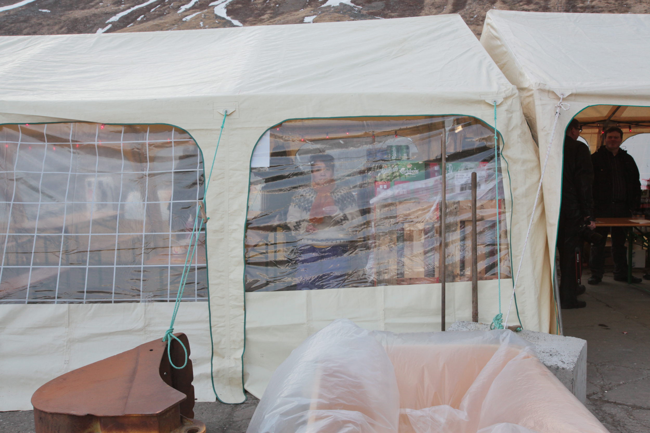 Aldrei fór ég suður by Alísa Kalyanova