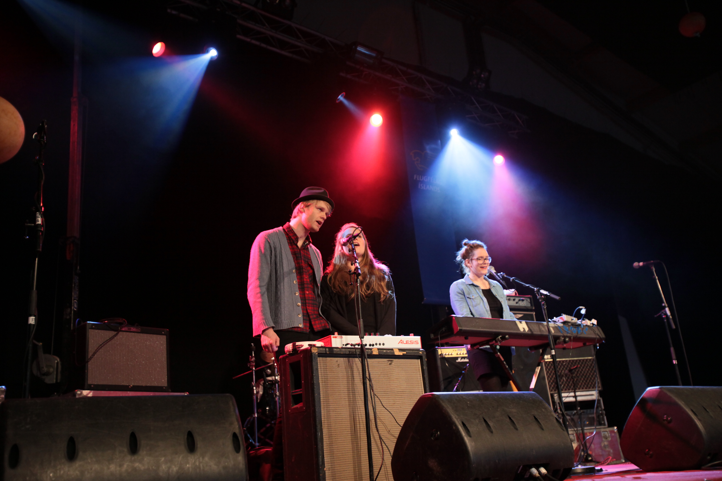 Aldrei fór ég suður by Alísa Kalyanova