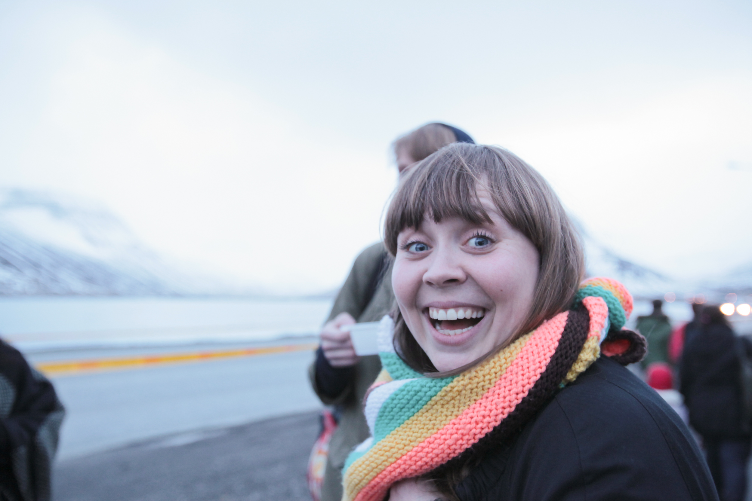 Aldrei fór ég suður by Alísa Kalyanova