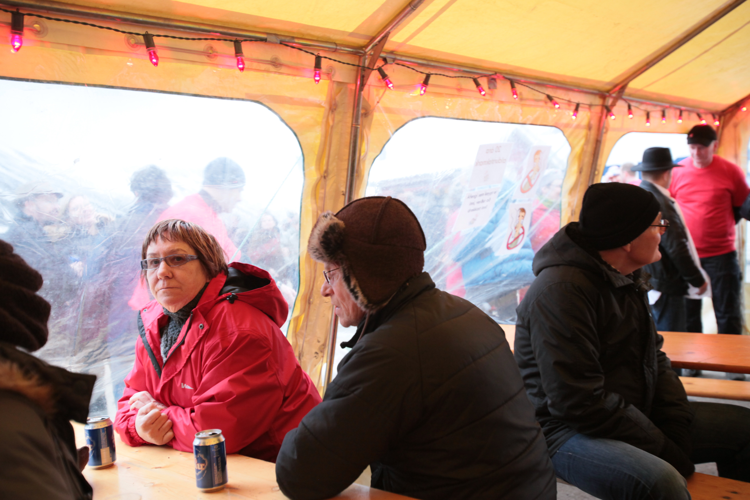 Aldrei fór ég suður by Alísa Kalyanova