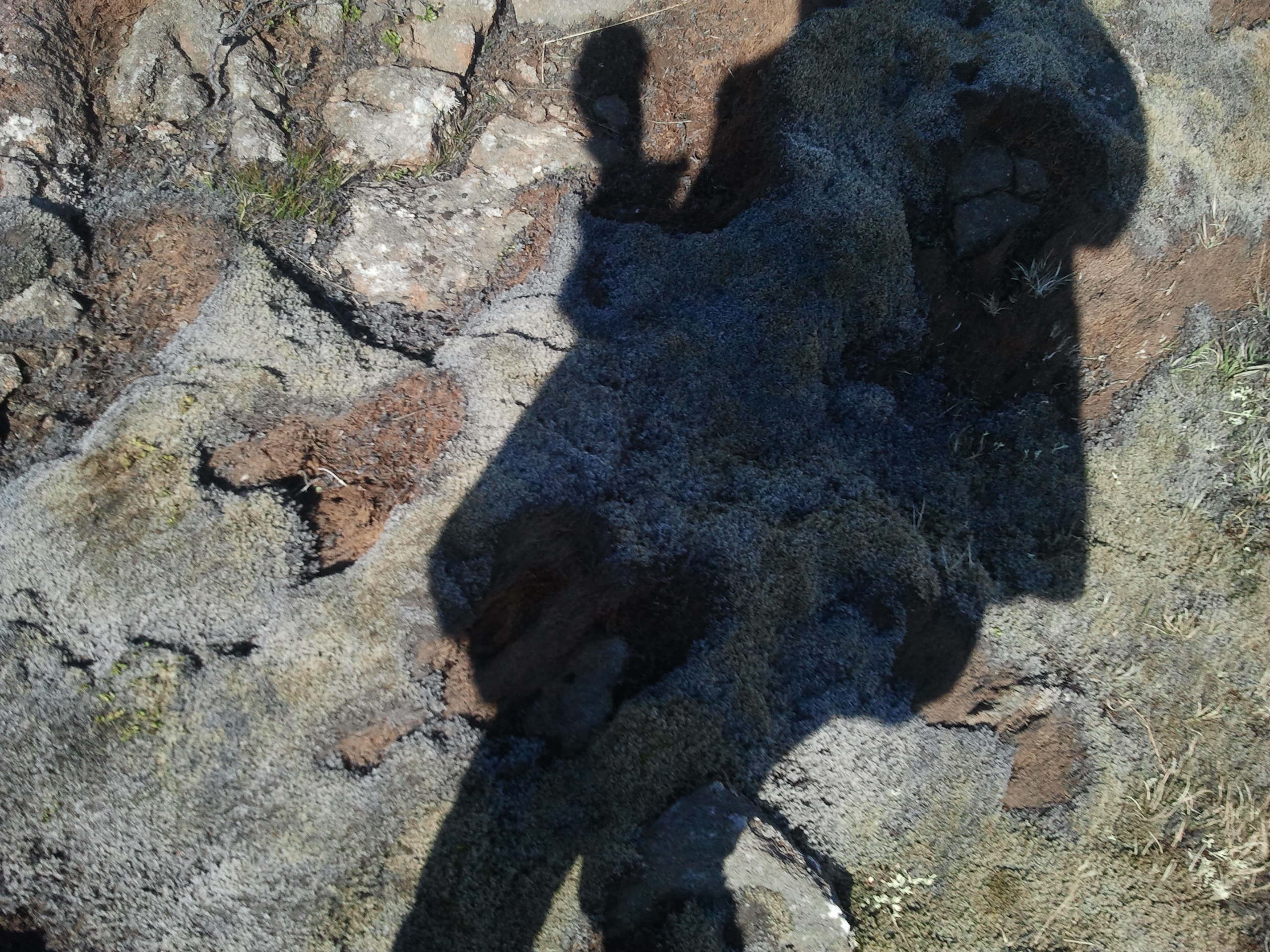 Photo by Valgerður Þóroddsdóttir