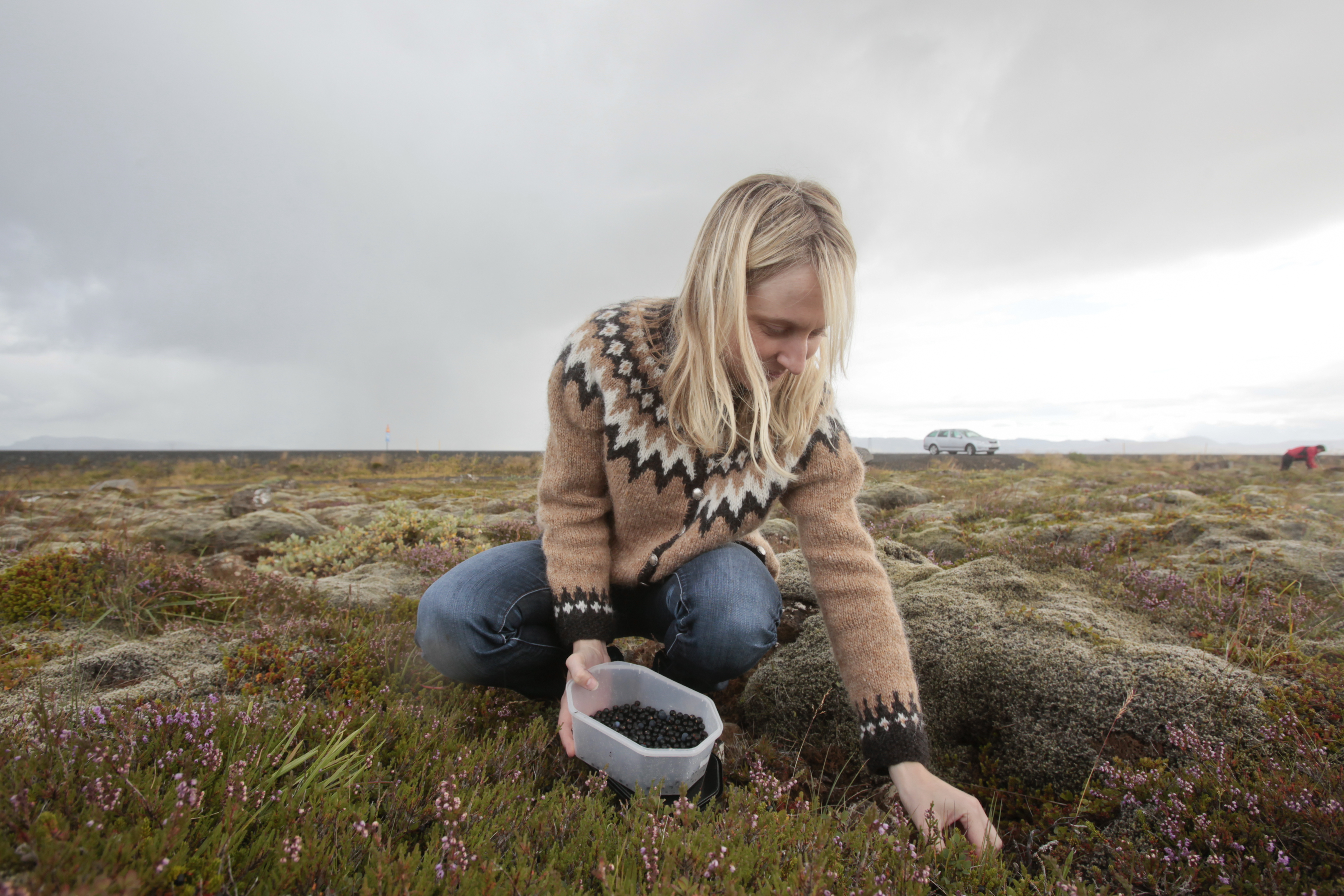 Picking Berries by Alísa Kalyanova