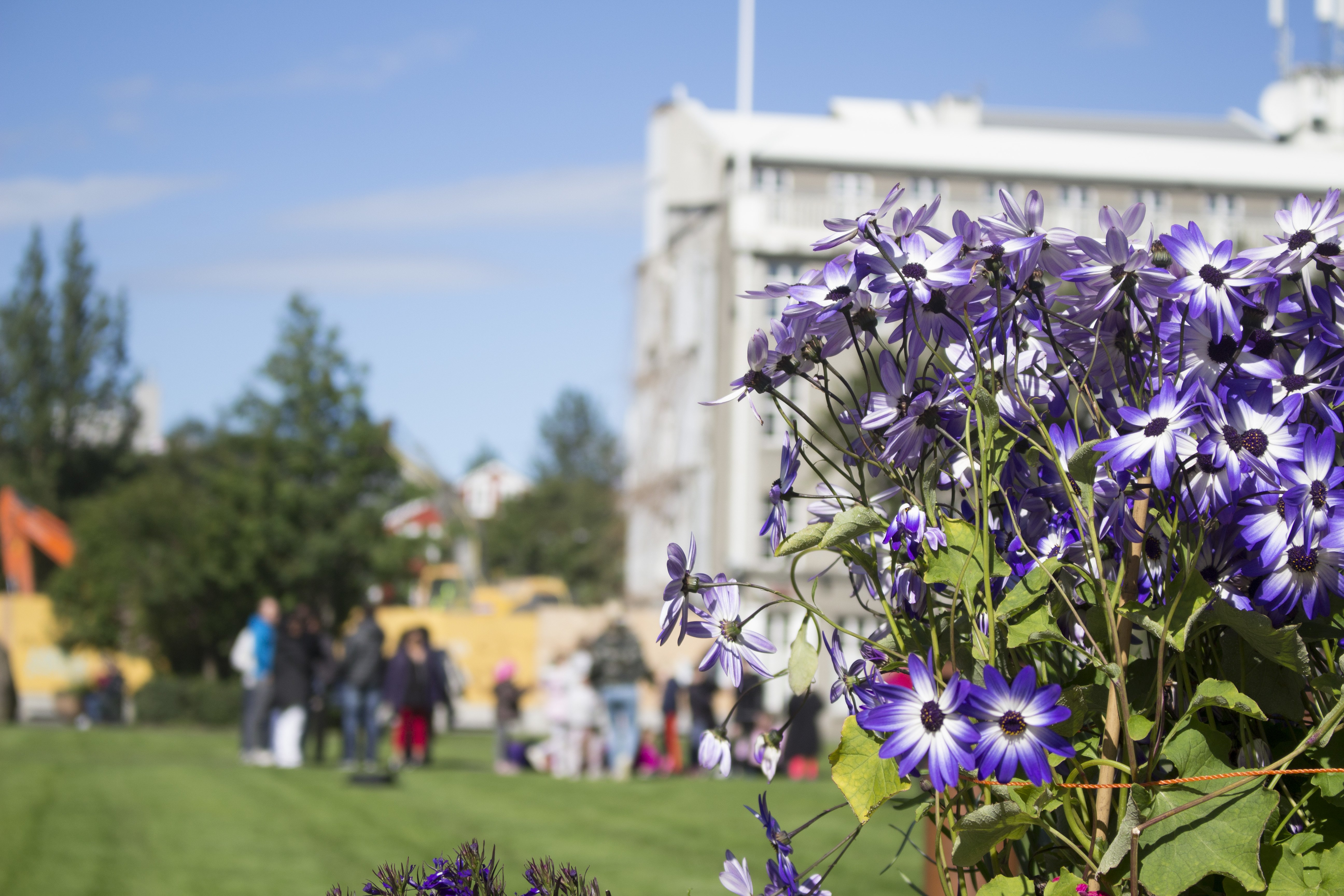 Temperatures that actually make stuff grow.